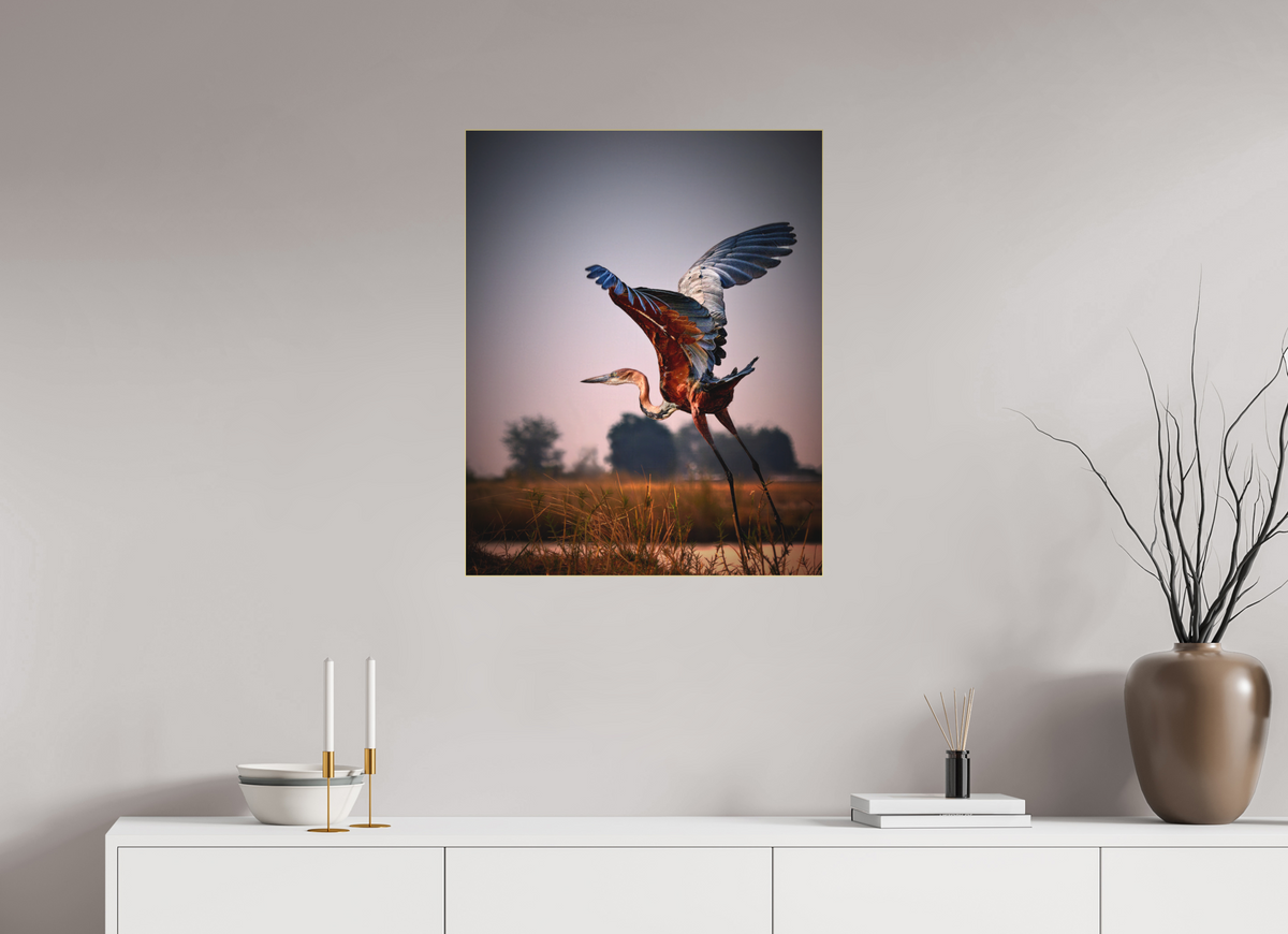 24 x 30″, Bonded Acrylic Gold Frame Goliath Heron Takes Flight on the Chobe River