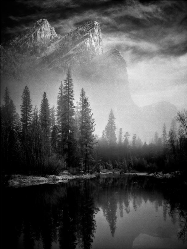 Leviathans II: Light & Shadow