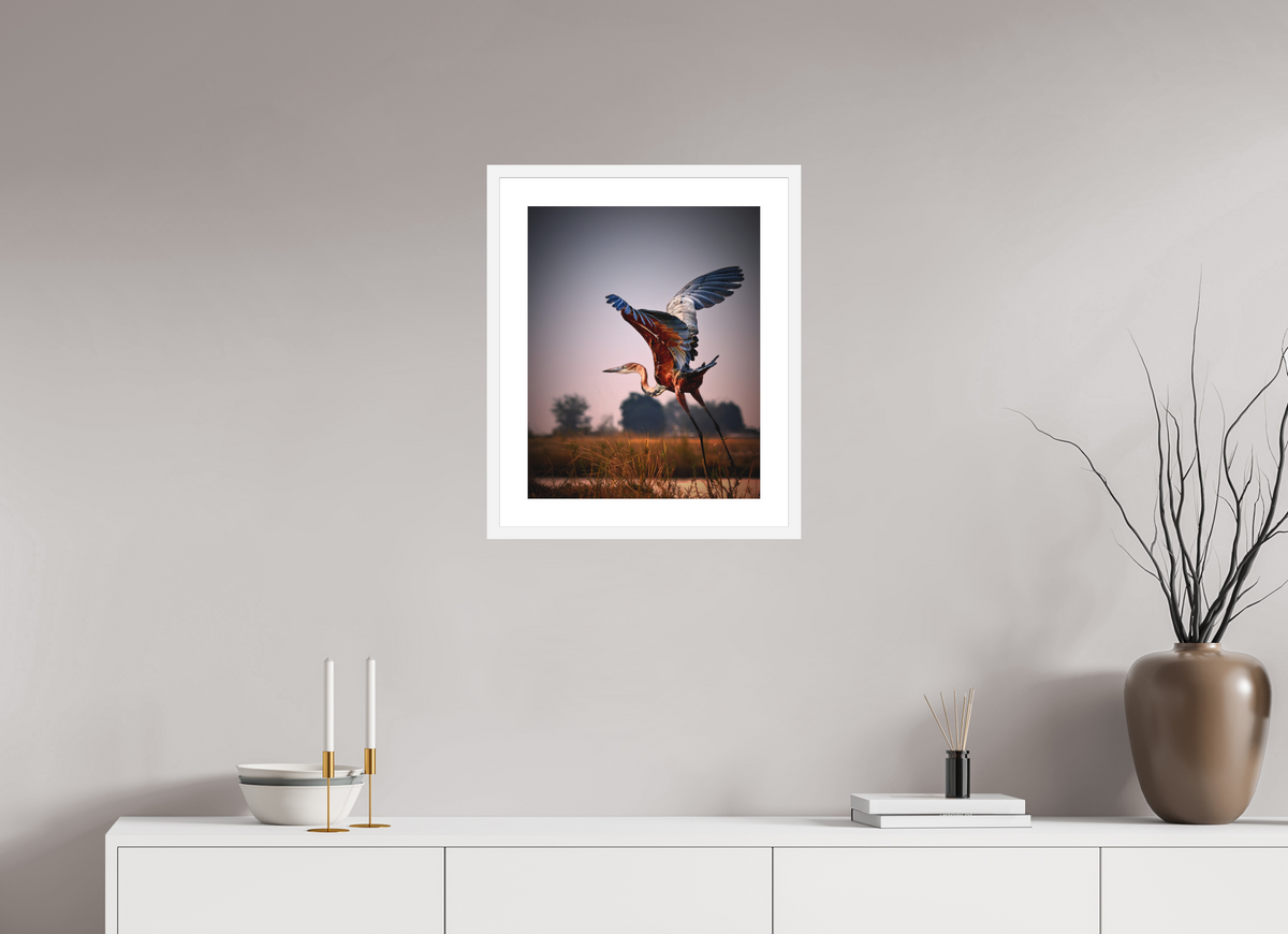 16 x 20″, Passe-Partout White Frame Goliath Heron Takes Flight on the Chobe River