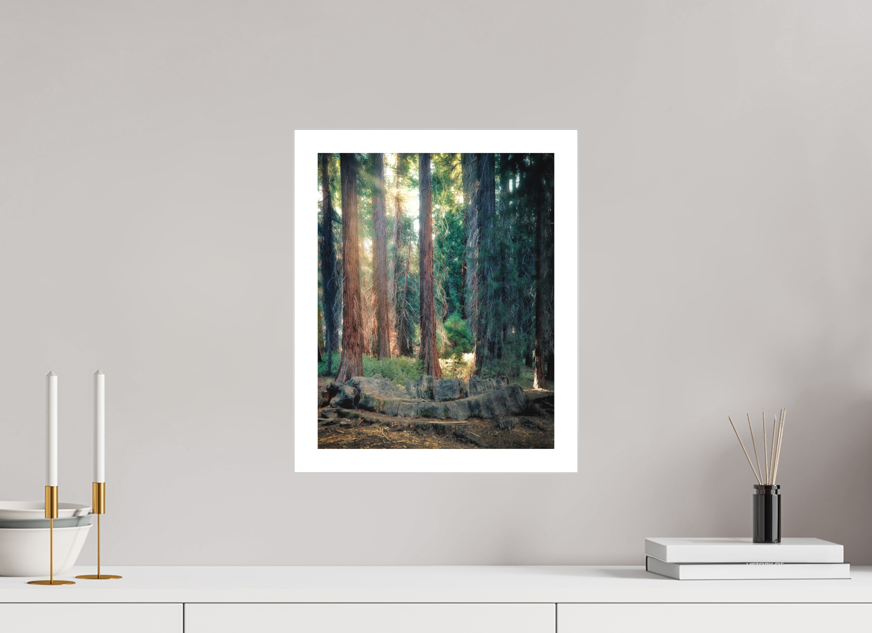 12 x 15″, Fine Art Bonded Acrylic Never Again: The Centennial Stump