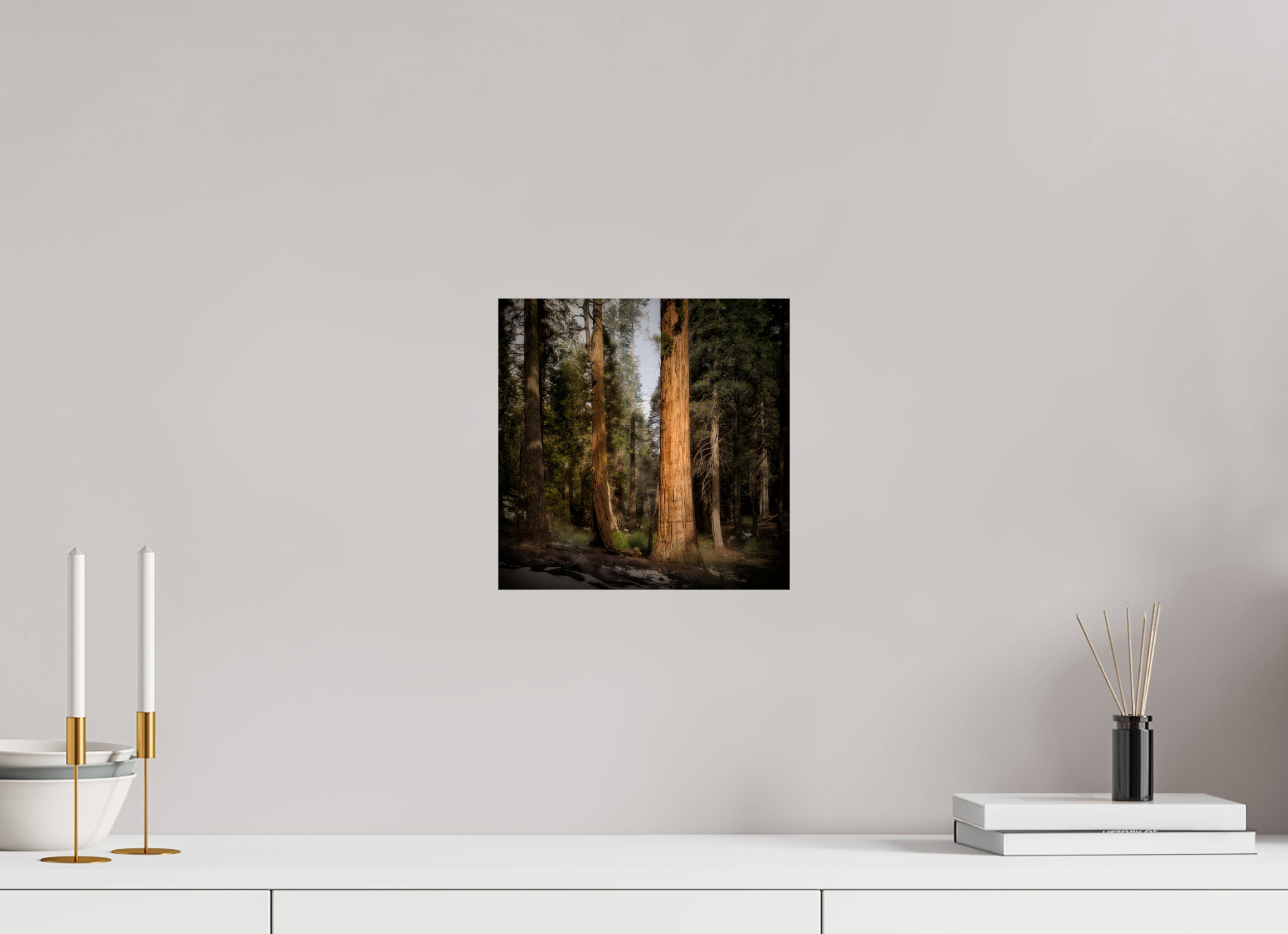 10 x 10″, Giclée Alu-Dibond Northern Sentinels I: The Placer County Sequoias