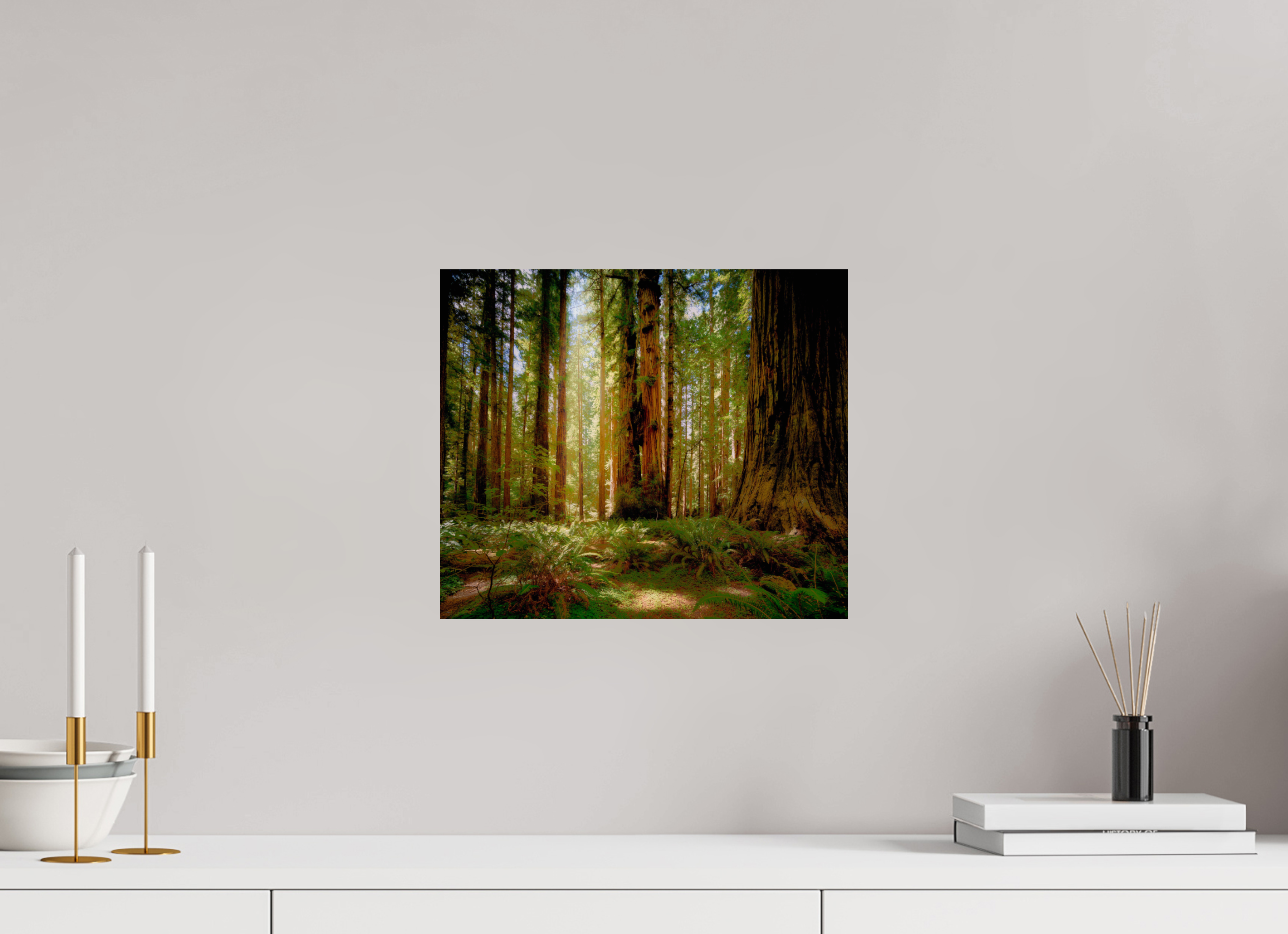 14 x 12″, Giclée Alu-Dibond Life & Light Beneath the Giants