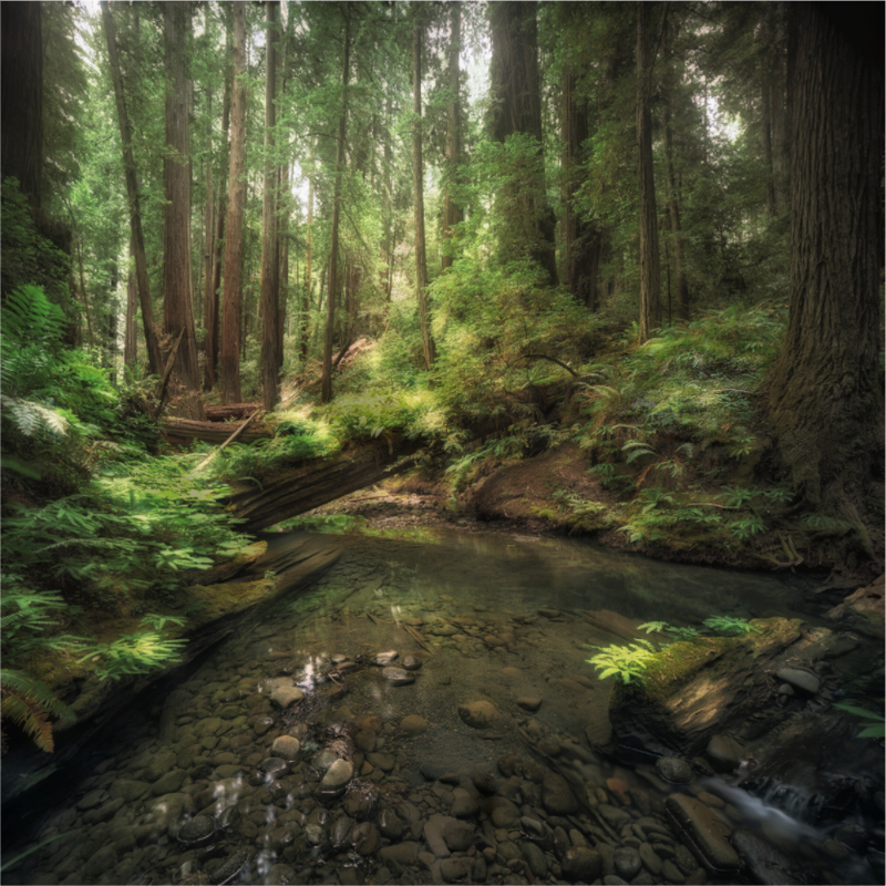 Decker Creek