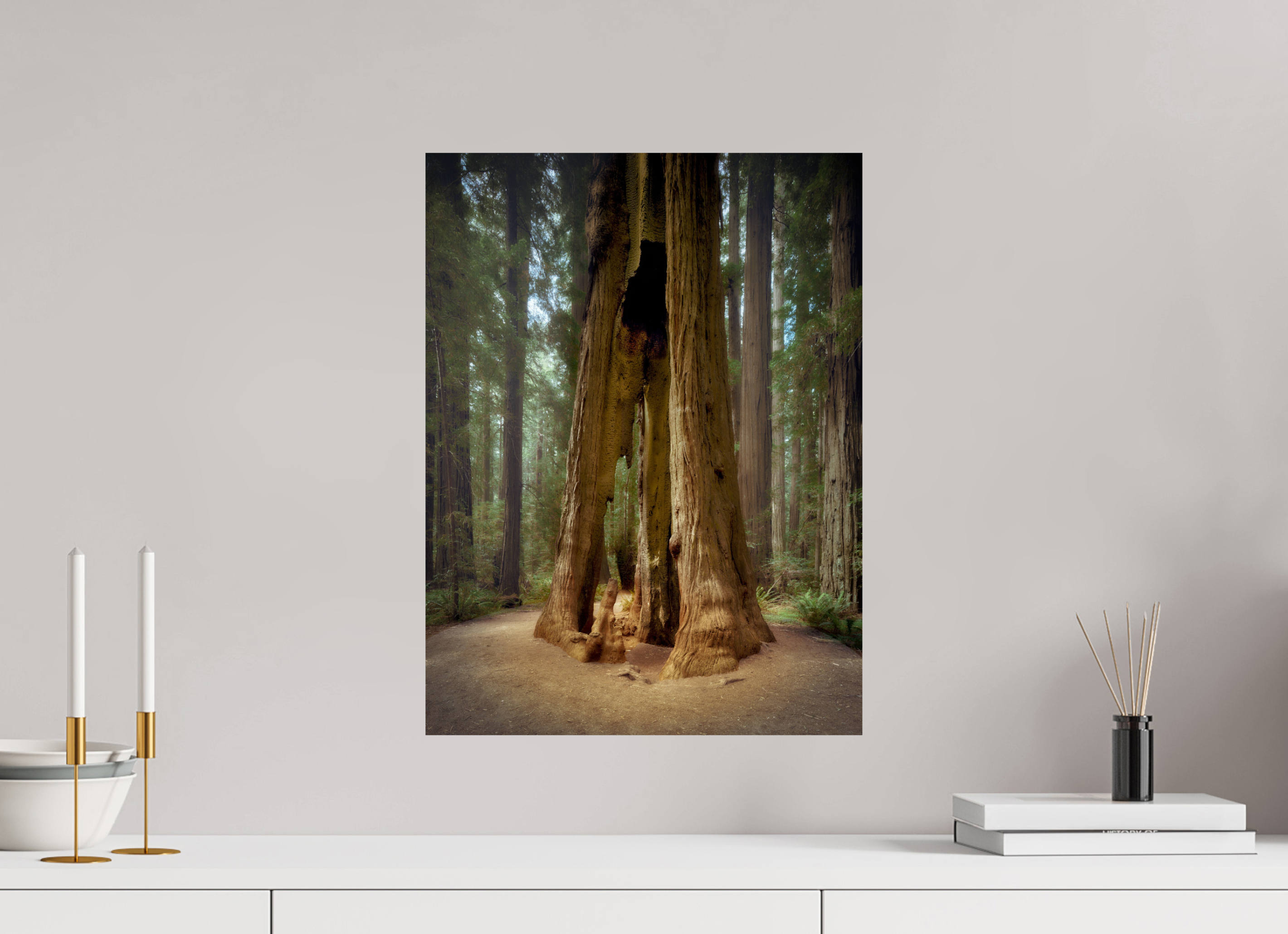 15 x 20″, Giclée Alu-Dibond Inextinguibilis: Founders Grove