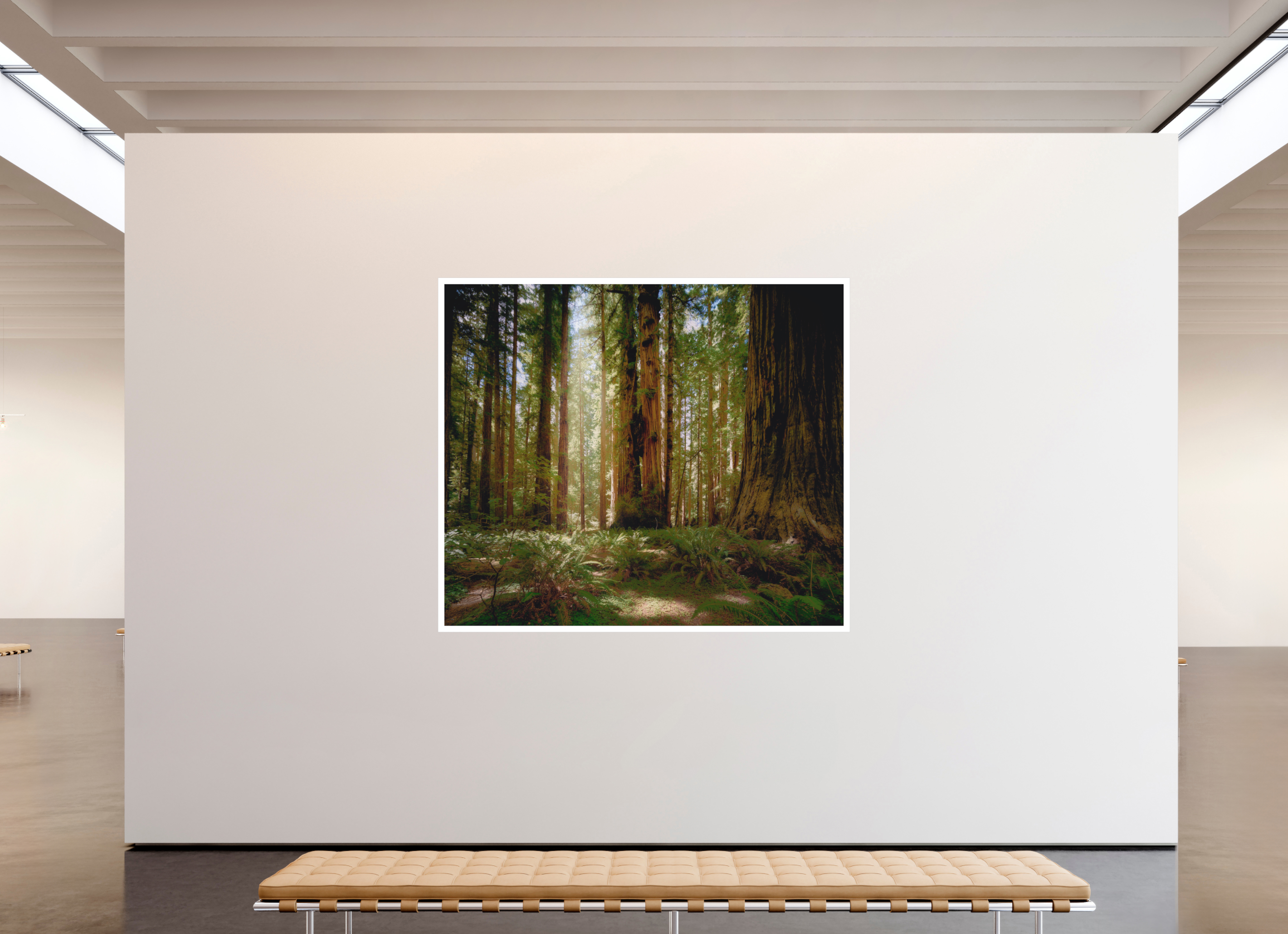 78.3 x 67″, Bonded Acrylic Mat + Silver Frame Life & Light Beneath the Giants