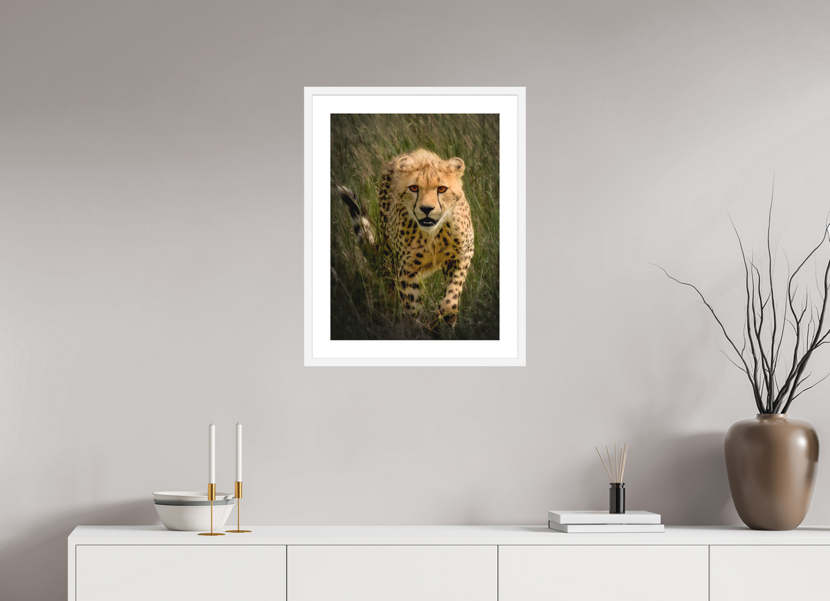 18 x 24″, Passe-Partout White Frame Stalking Cheetah
