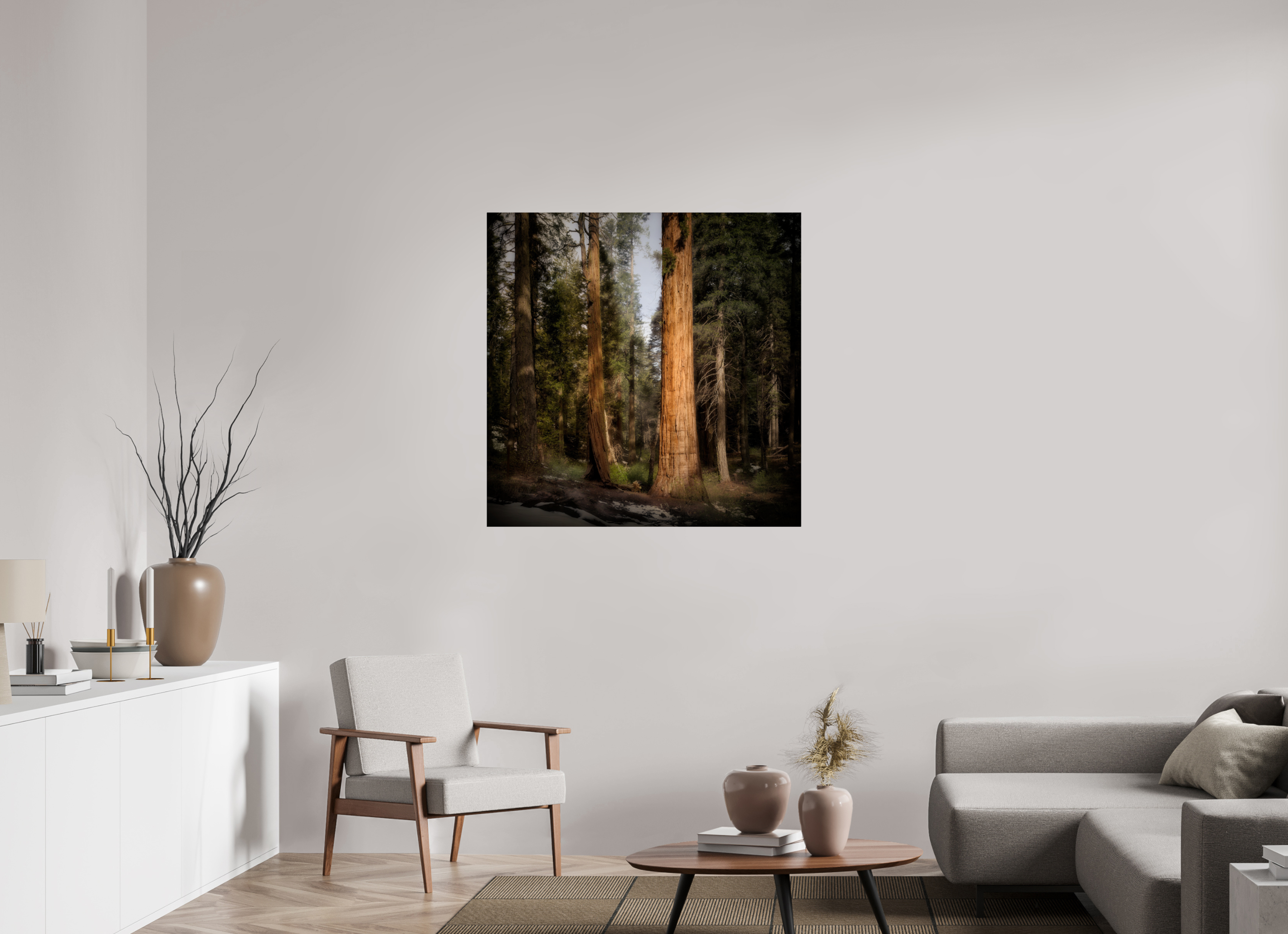 40 x 40″, Giclée Alu-Dibond Northern Sentinels I: The Placer County Sequoias