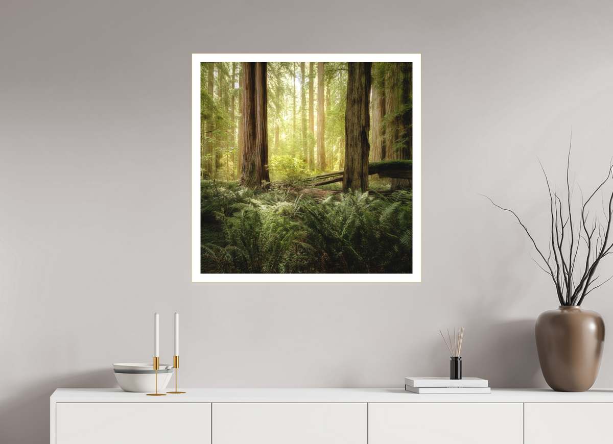 30 x 30″, Bonded Acrylic Mat + Gold Frame Lux Armarium: Stout Grove