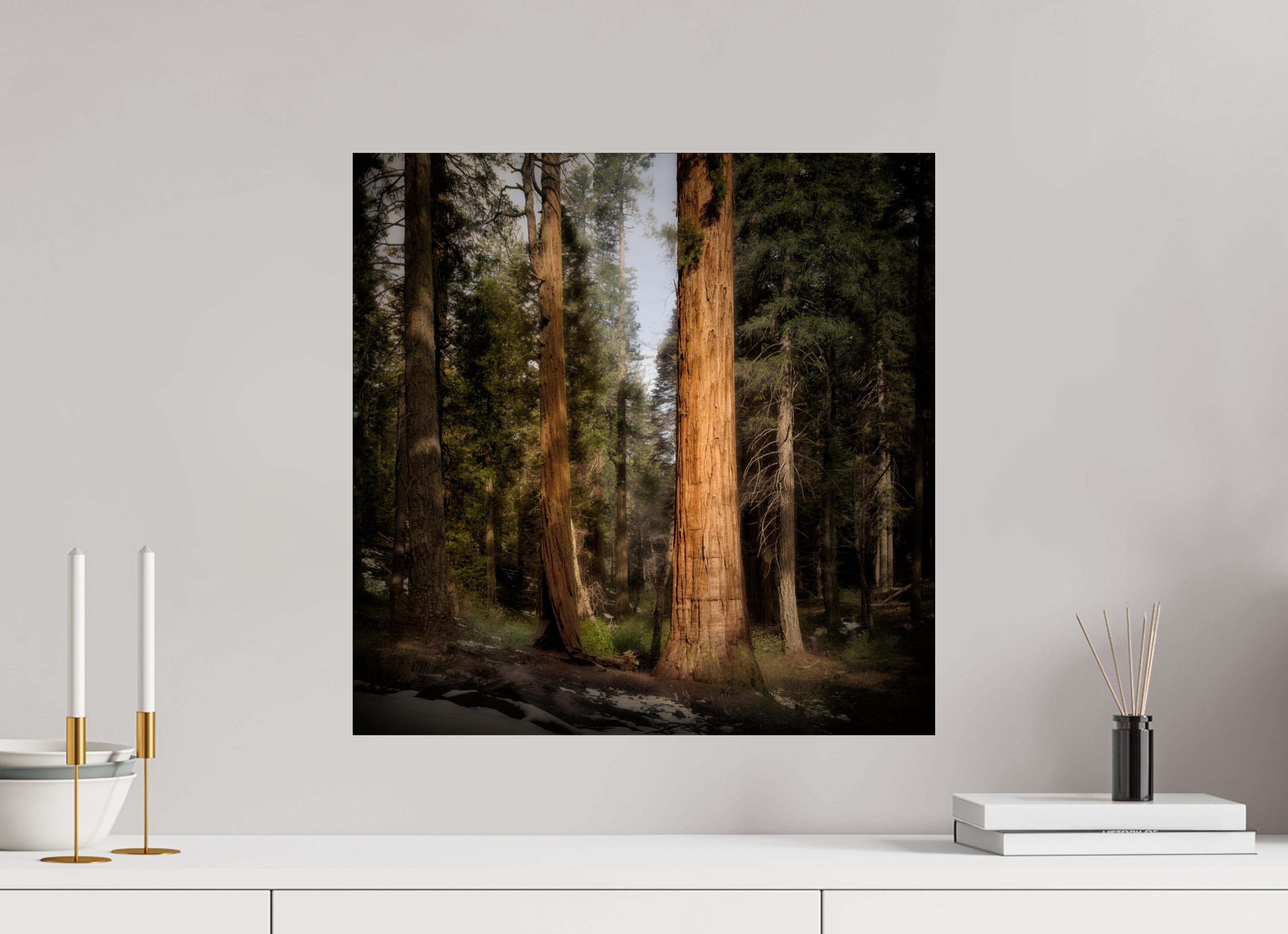 20 x 20″, Giclée Alu-Dibond Northern Sentinels I: The Placer County Sequoias