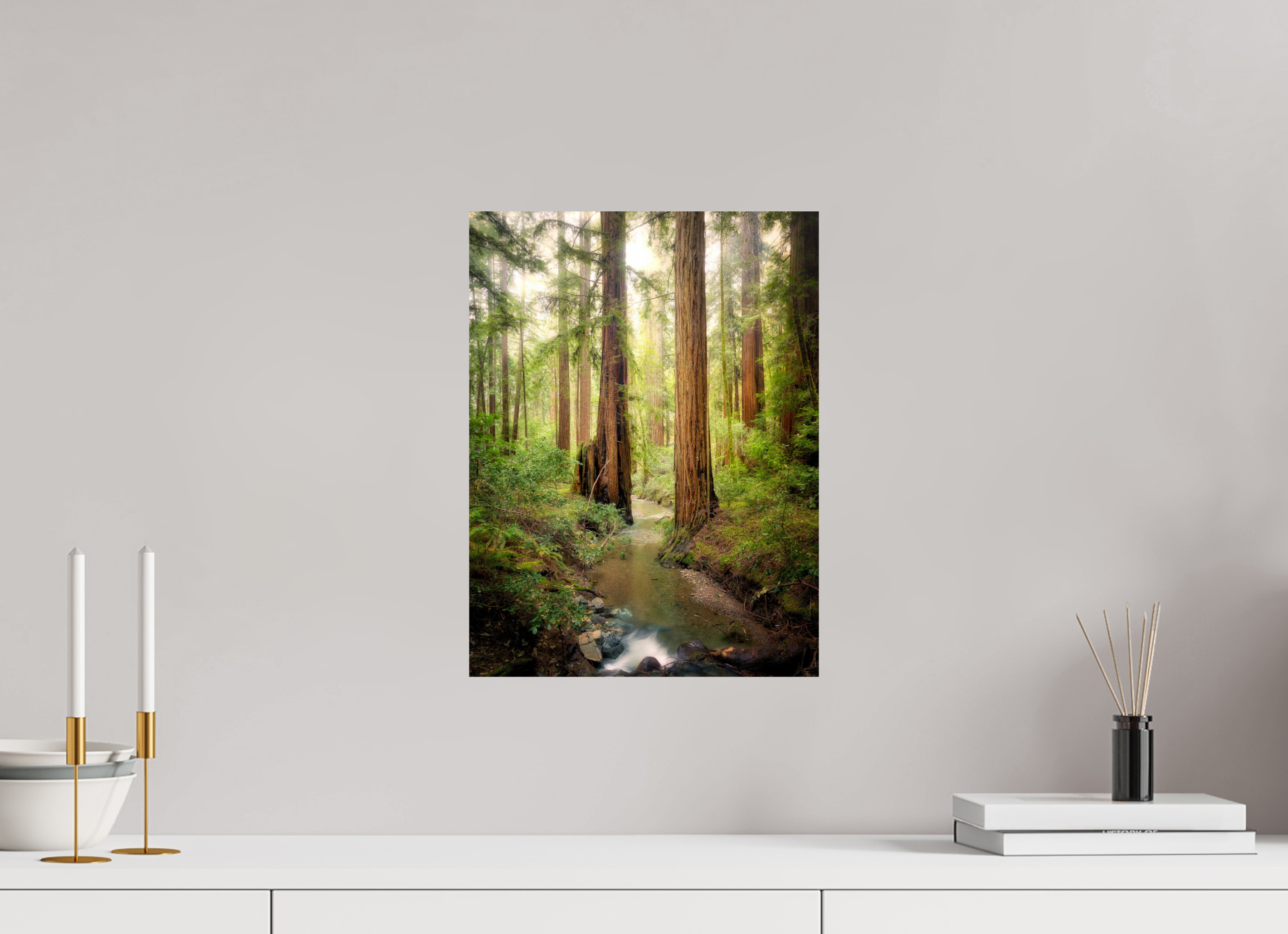 12 x 16″, Giclée Alu-Dibond Armstrong Woods III: Columnas
