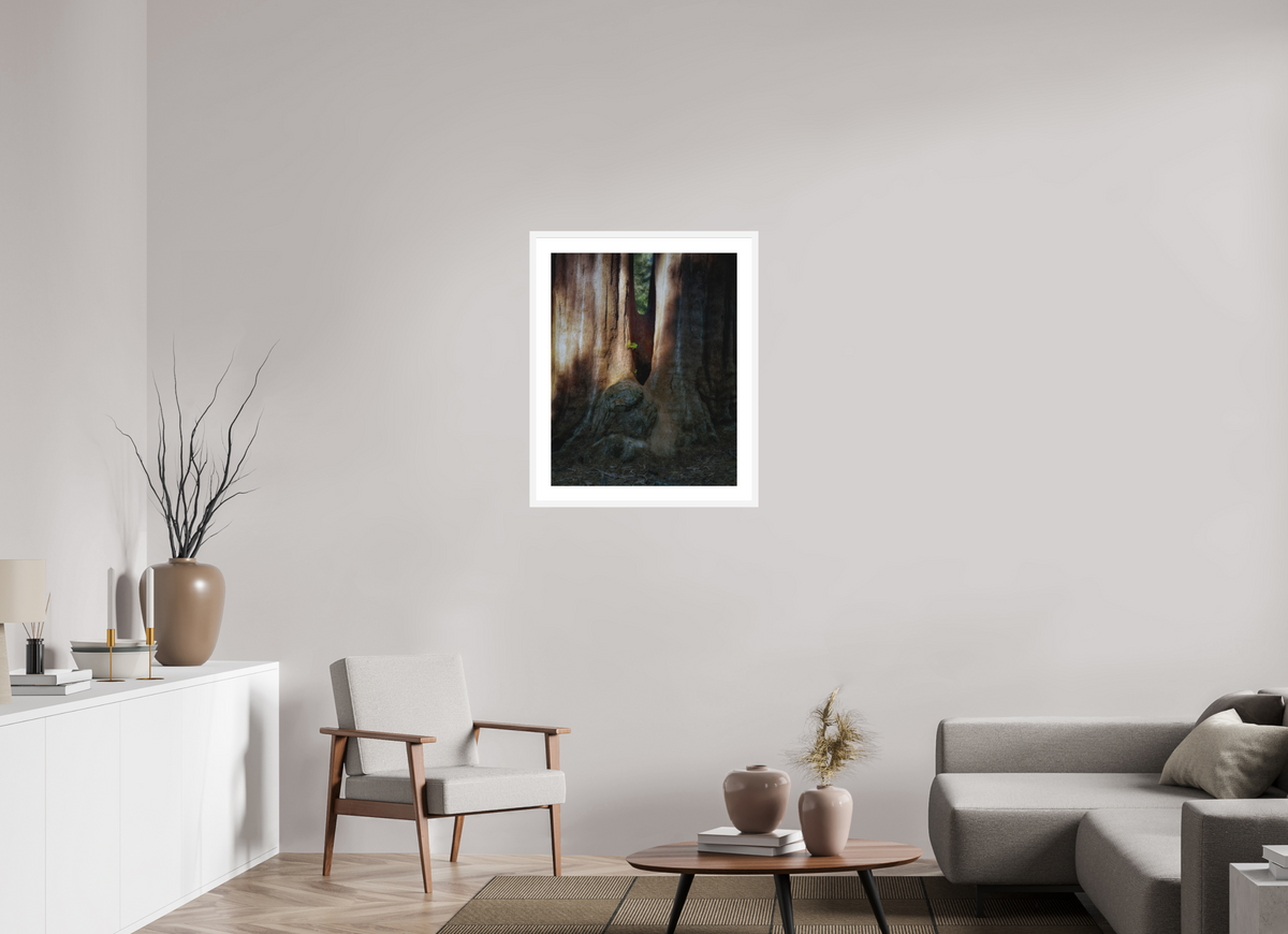 24 x 30″, Passe-Partout White Frame Semper iuvenis