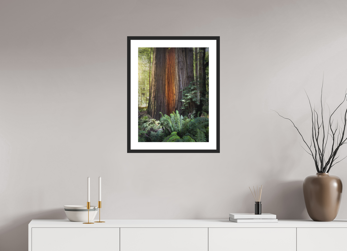 18 x 24″, Passe-Partout Black Frame Glow in the Tall Trees Grove