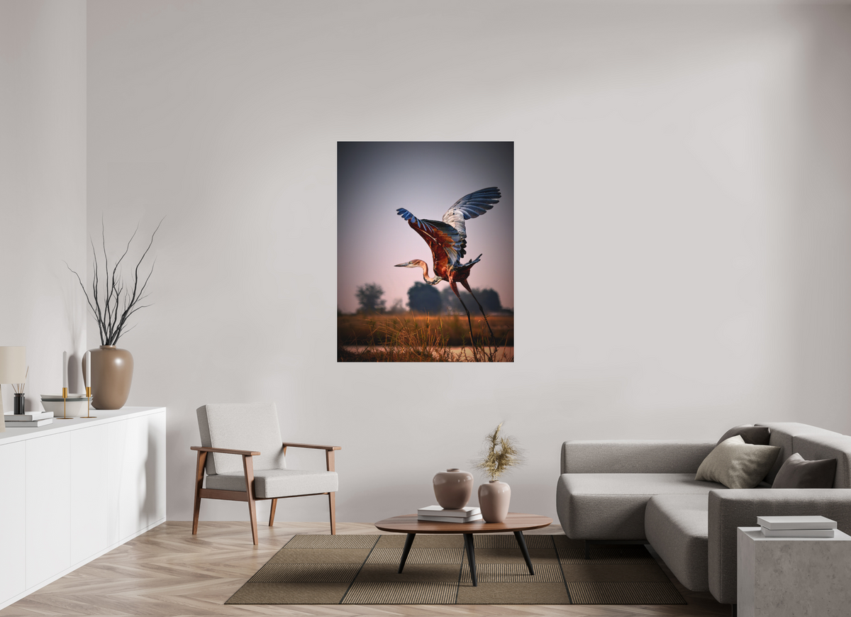 43 x 53.7″, Bonded Acrylic Silver Frame Goliath Heron Takes Flight on the Chobe River