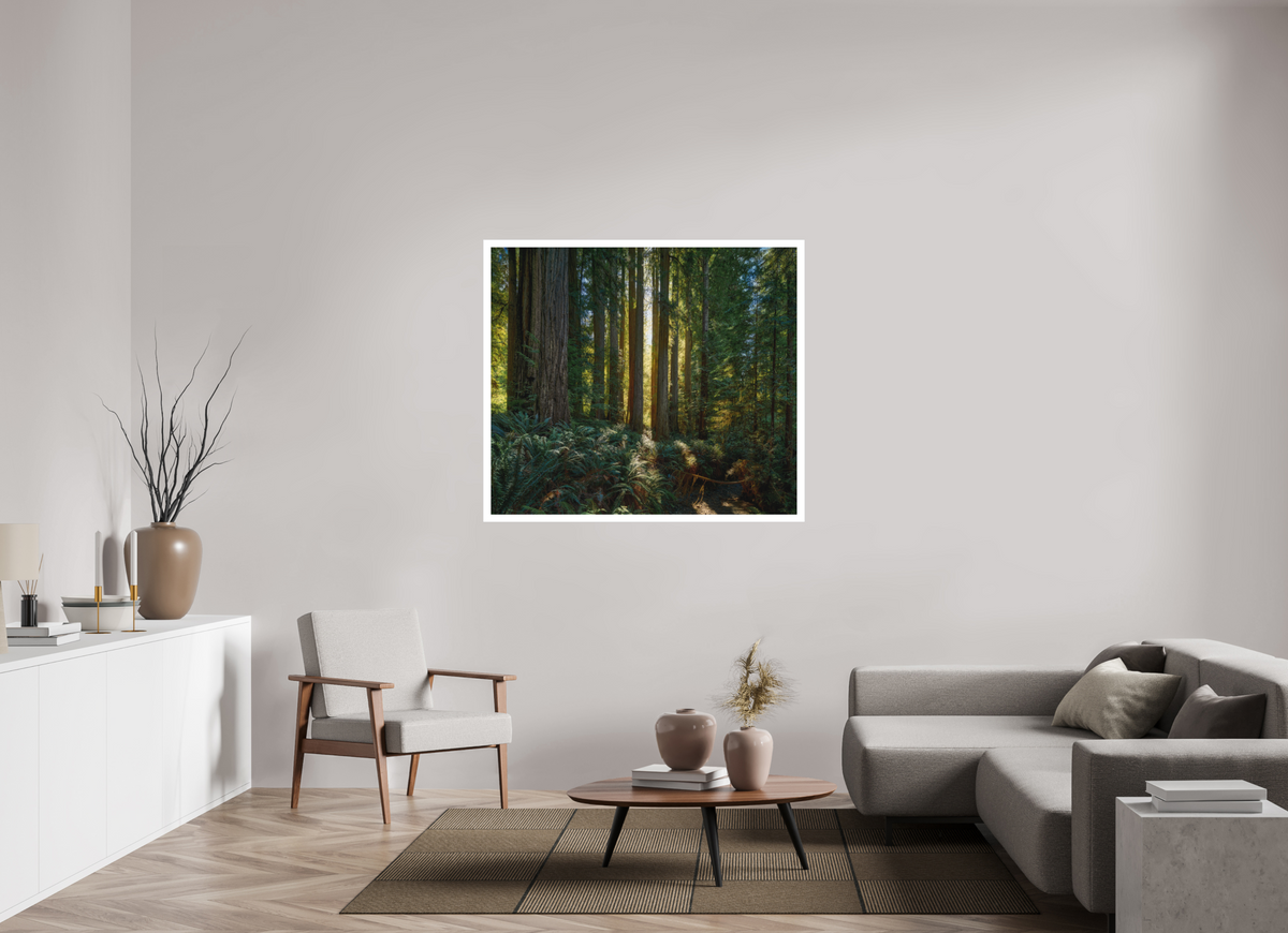 49.2 x 43″, Fine Art Bonded Acrylic Gateway