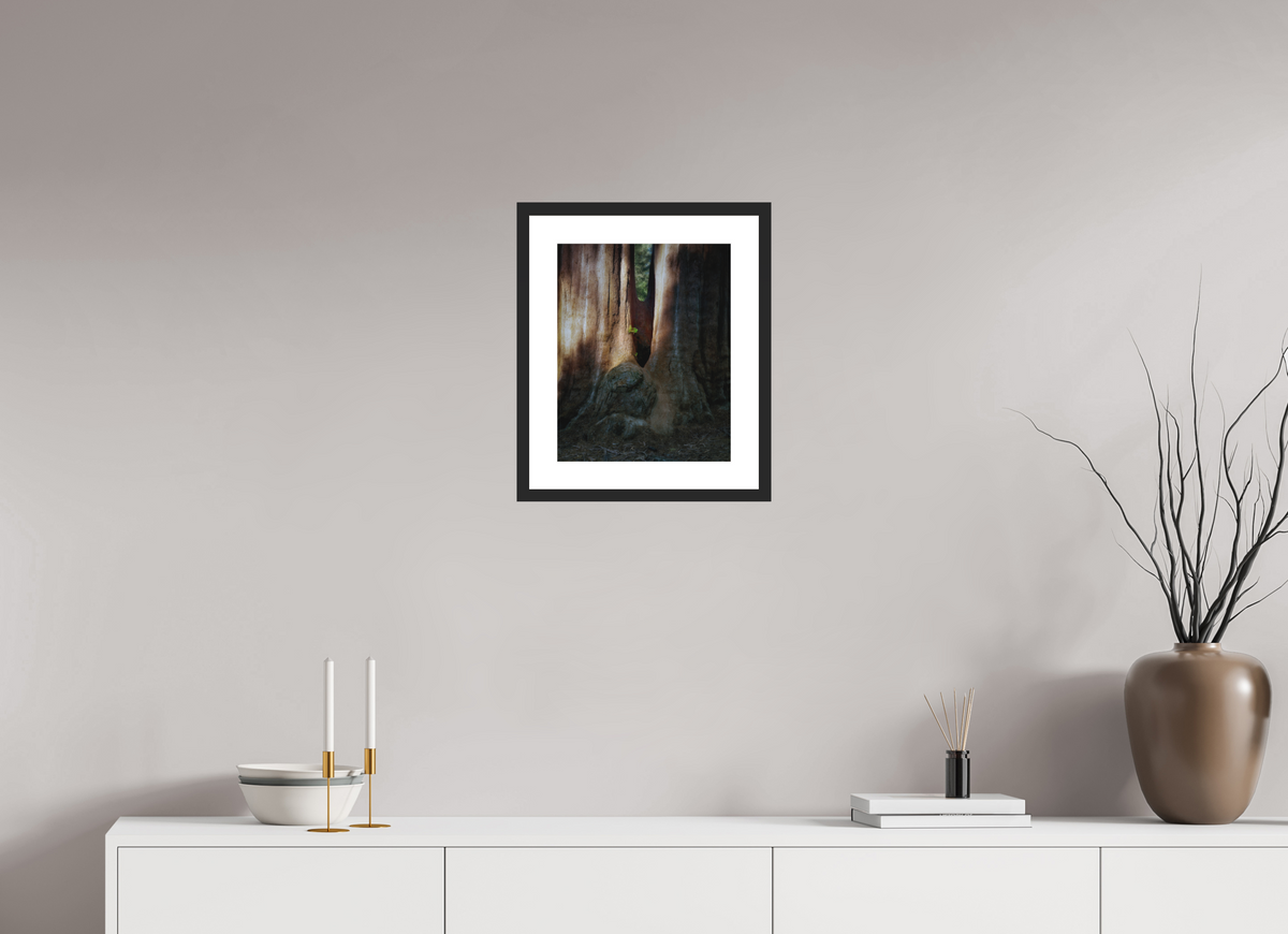 12 x 15″, Passe-Partout Black Frame Semper iuvenis