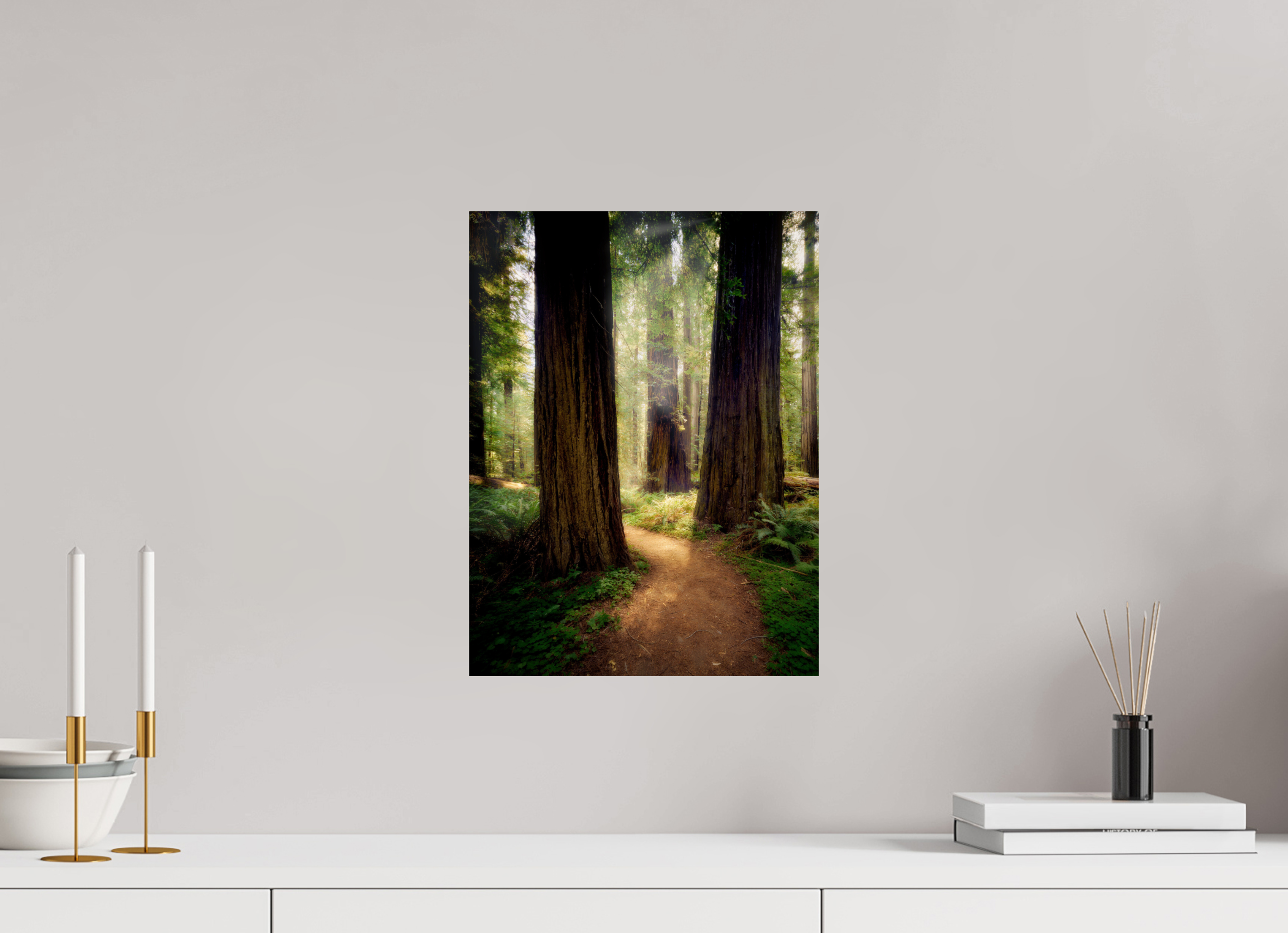 12 x 16″, Giclée Alu-Dibond A Path Through The Redwoods