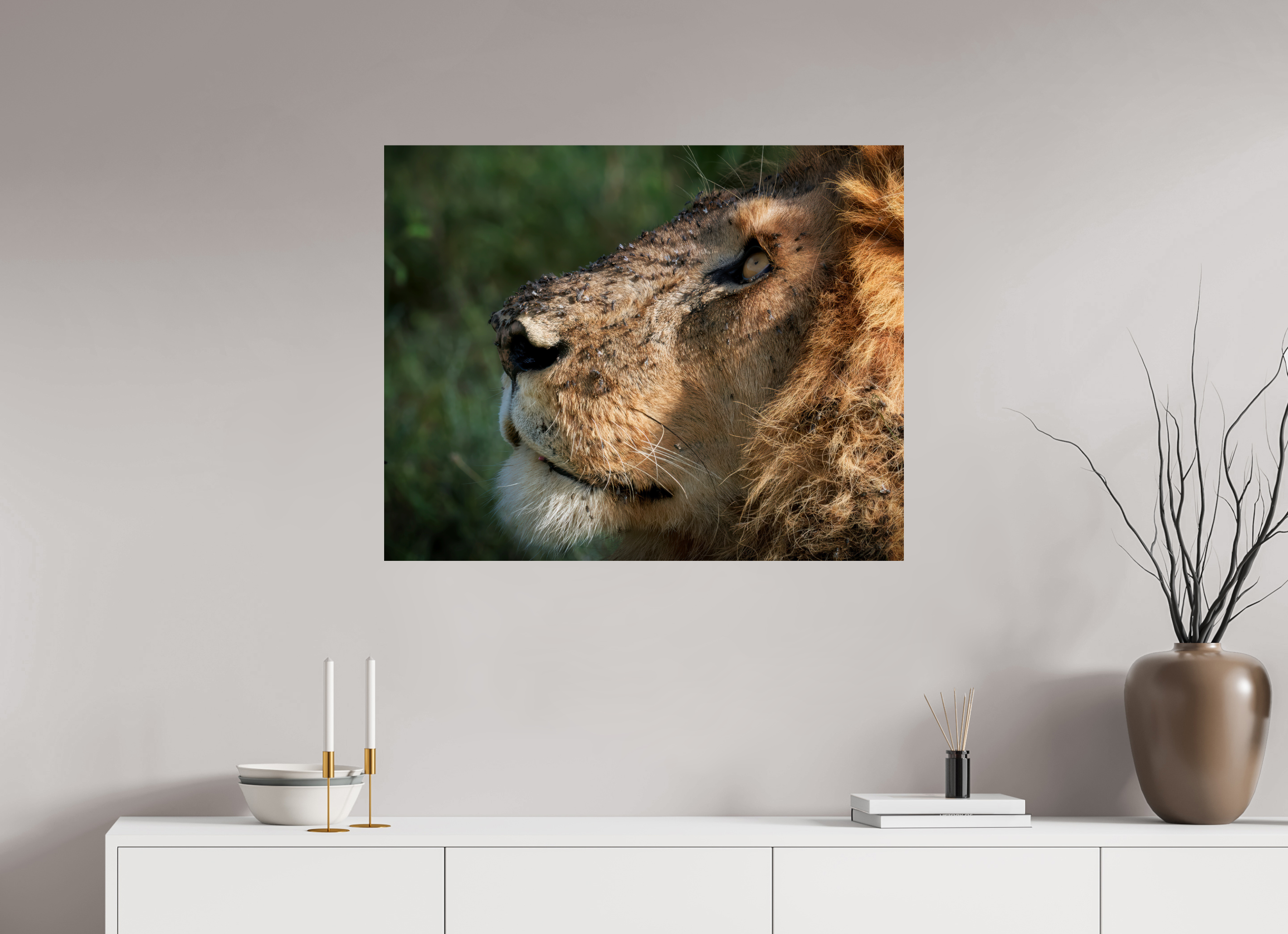 35 x 28″, Giclée Alu-Dibond The King of Most Beasts