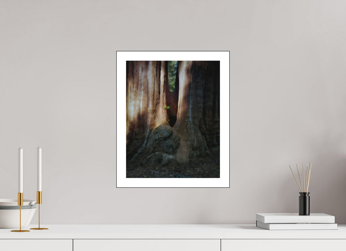 12 x 15″, Bonded Acrylic Mat + Black Frame Semper iuvenis