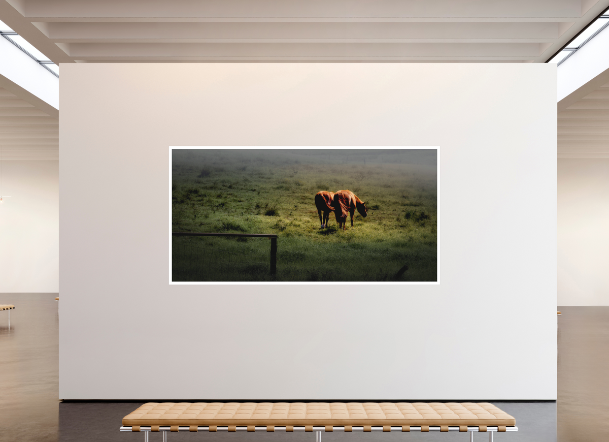 110 x 55″, Bonded Acrylic Mat + Silver Frame Upcountry Maui: Horses in Mist & Light