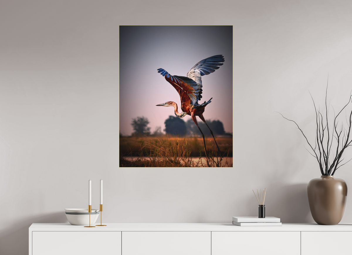 28 x 35″, Bonded Acrylic Gold Frame Goliath Heron Takes Flight on the Chobe River