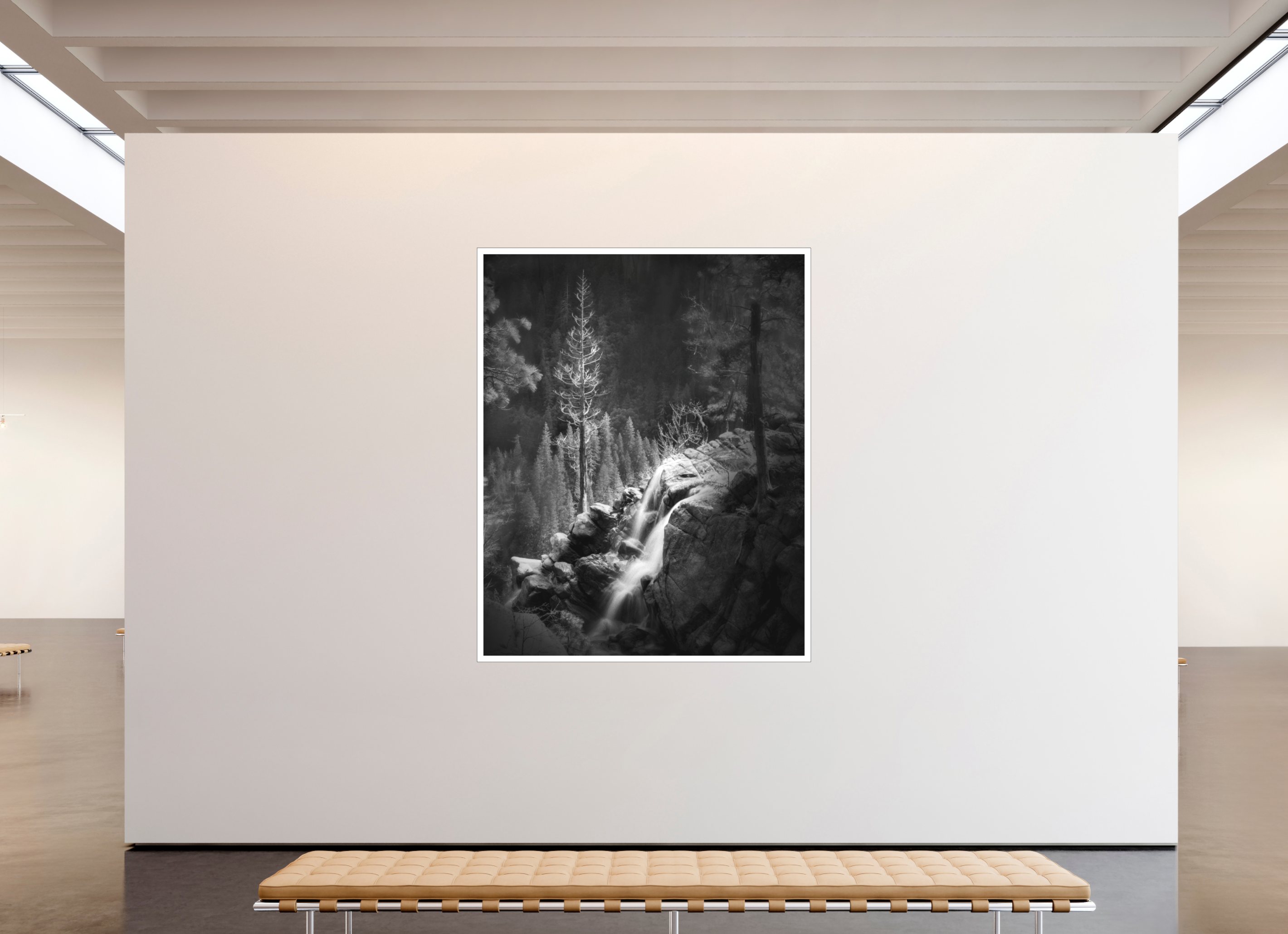 63 x 78.7″, Bonded Acrylic Mat + Black Frame Lucidum: Yosemite's Cascade Creek