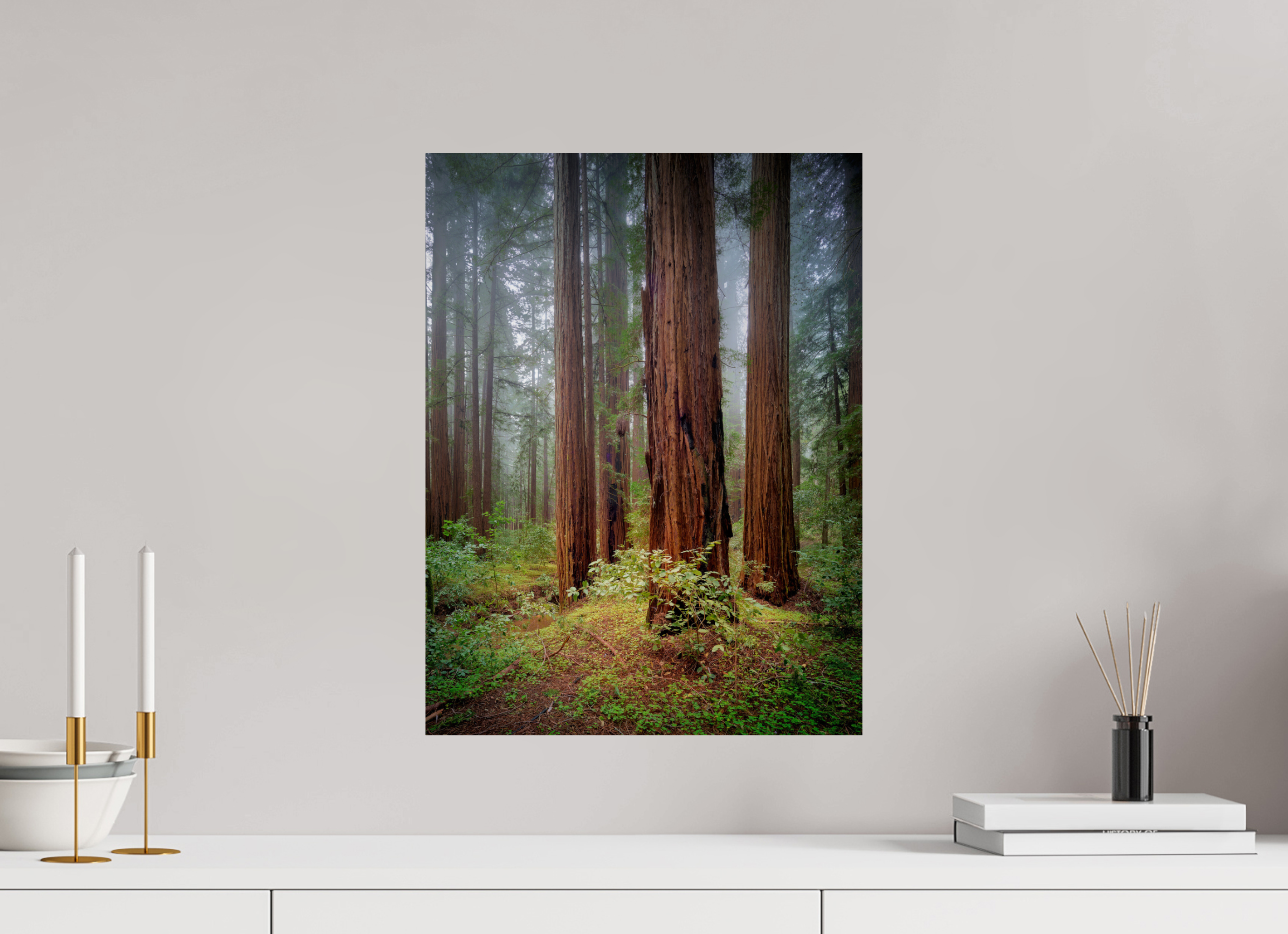15 x 20″, Giclée Alu-Dibond Armstrong Redwoods I: Truncus Circle of Life