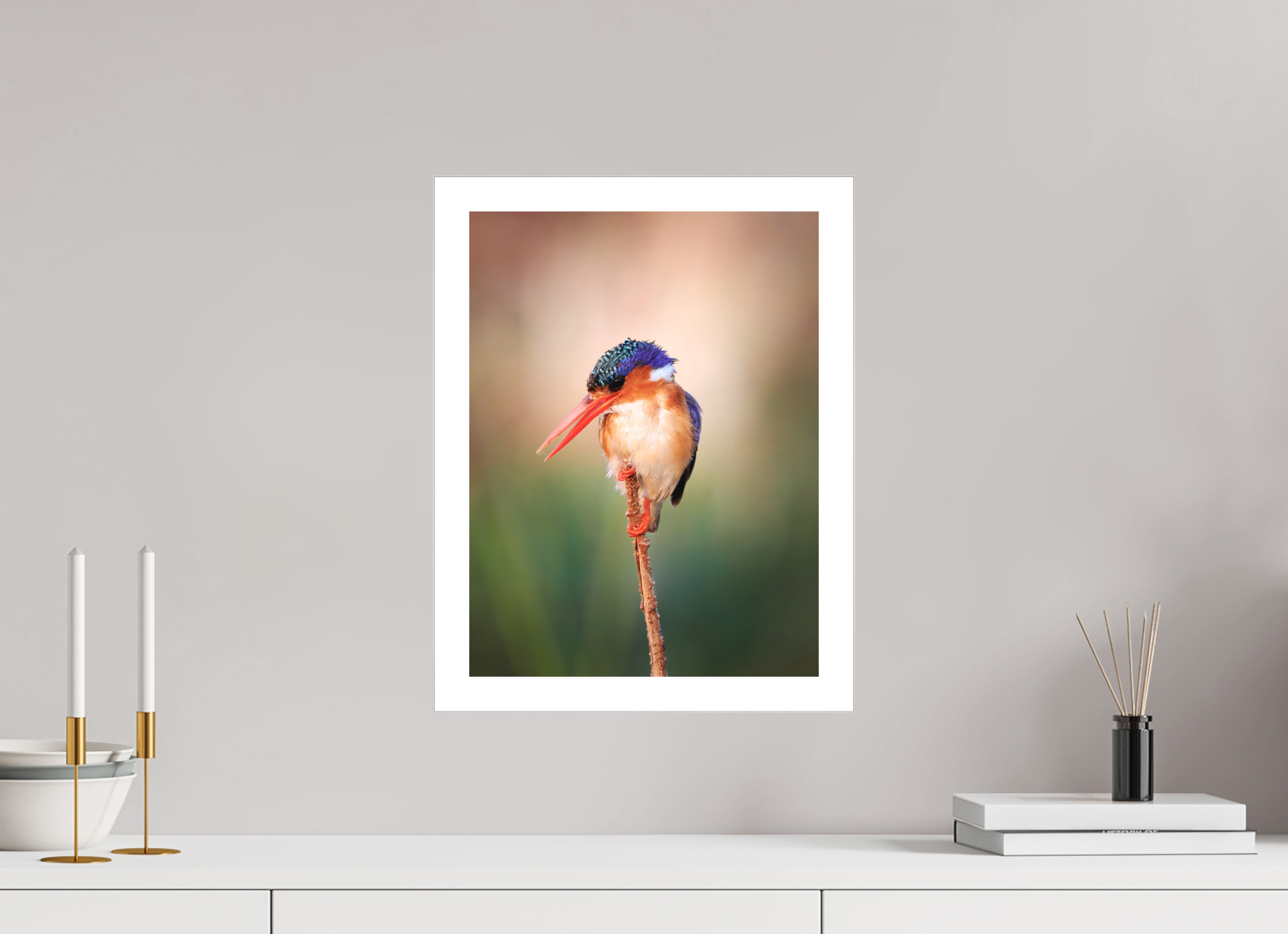 12 x 16″, Fine Art Bonded Acrylic Chobe River Kingfisher