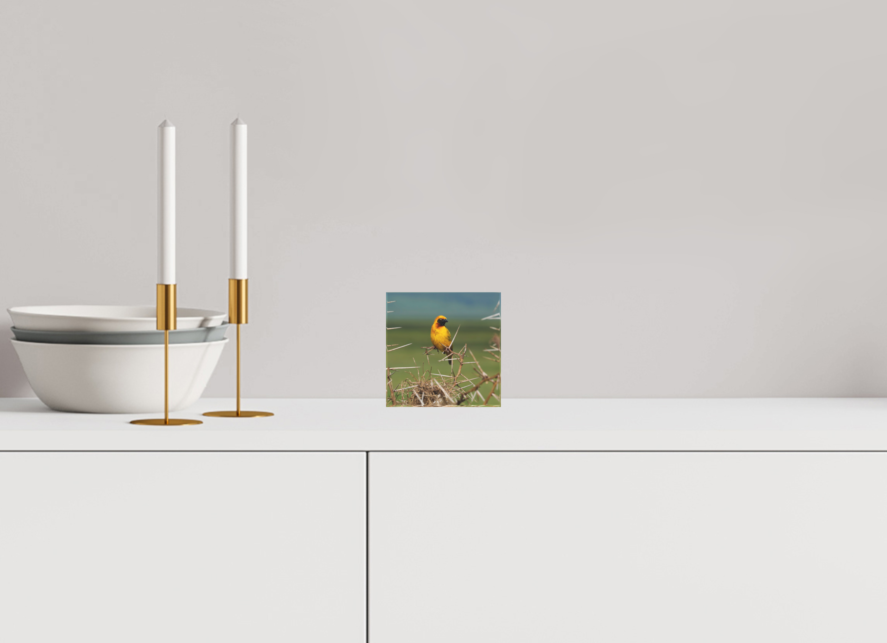 4 x 4″, Acrylic Block Gift Set Afrcan Golden Weaver