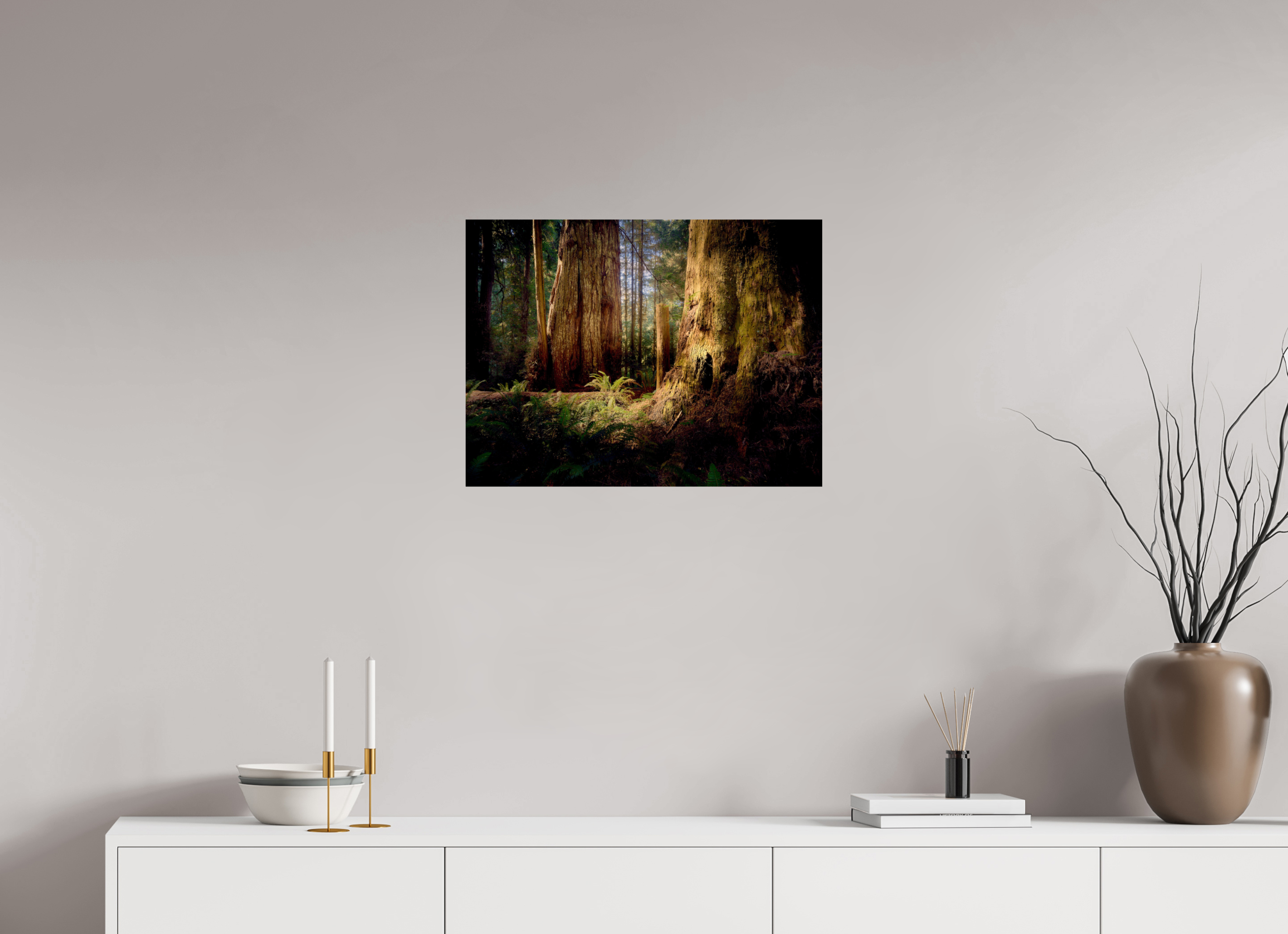 24 x 18″, Giclée Alu-Dibond Parvus: A Redwood Perspective