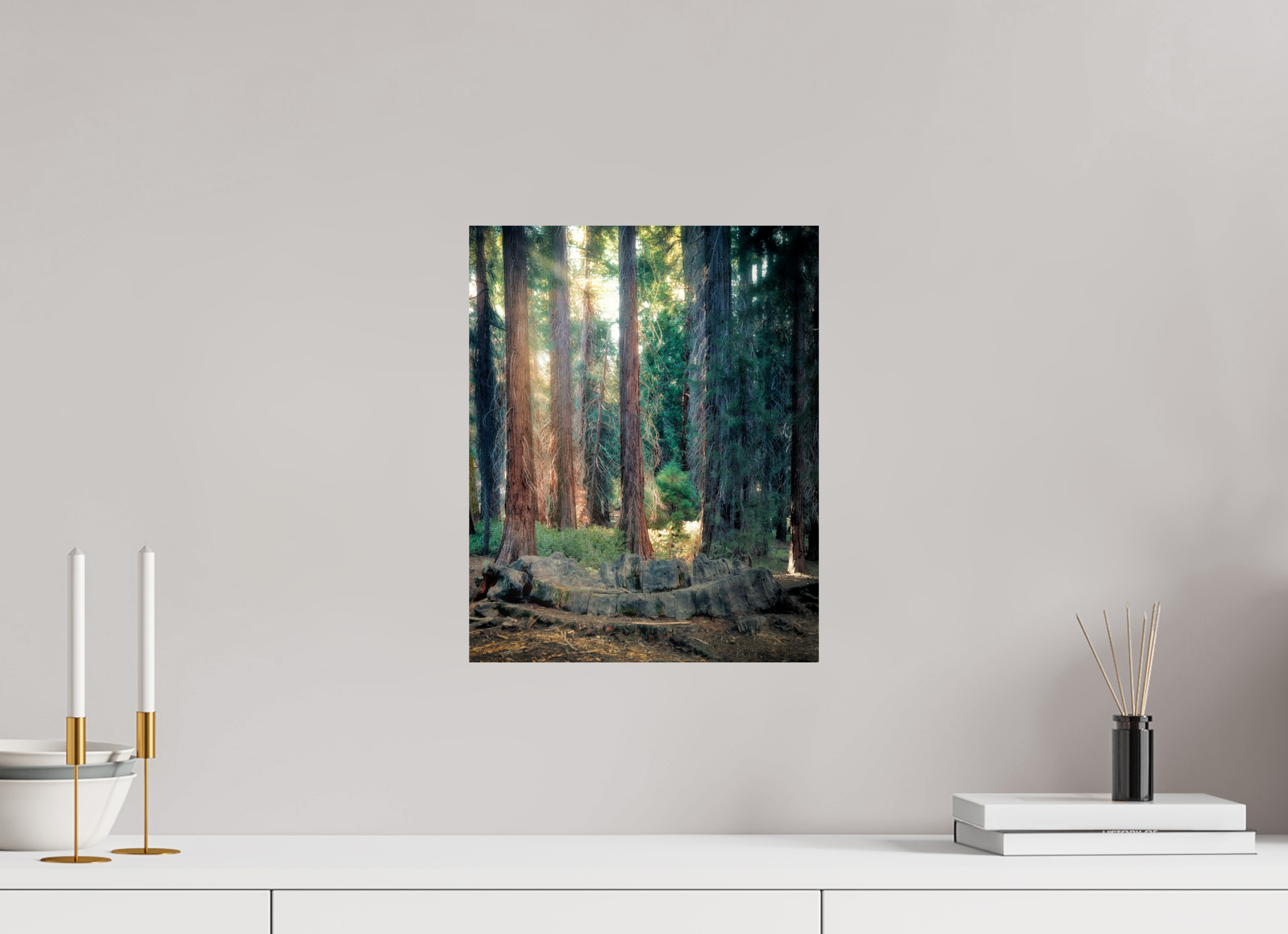 12 x 15″, Giclée Alu-Dibond Never Again: The Centennial Stump