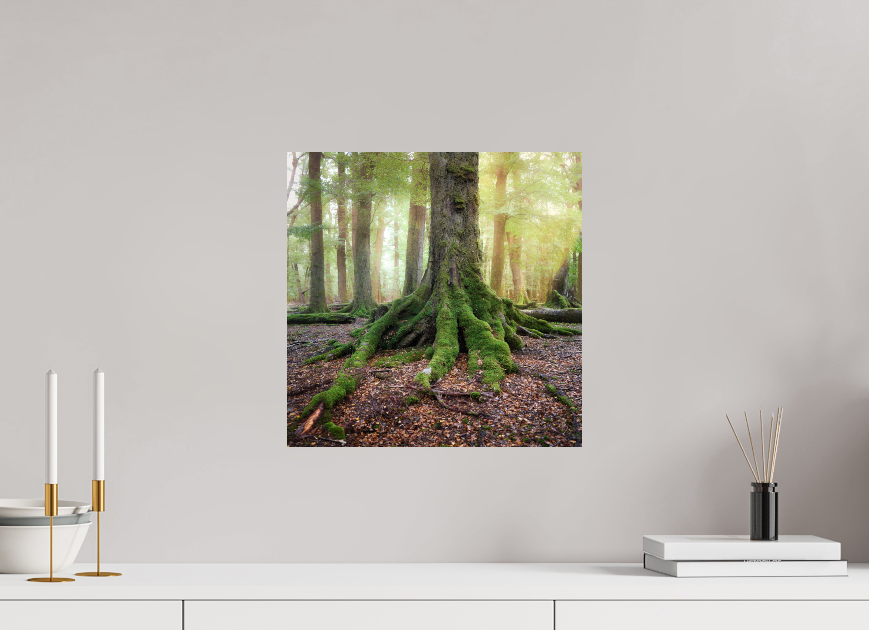 15 x 15″, Giclée Alu-Dibond The Hobbit's Foot