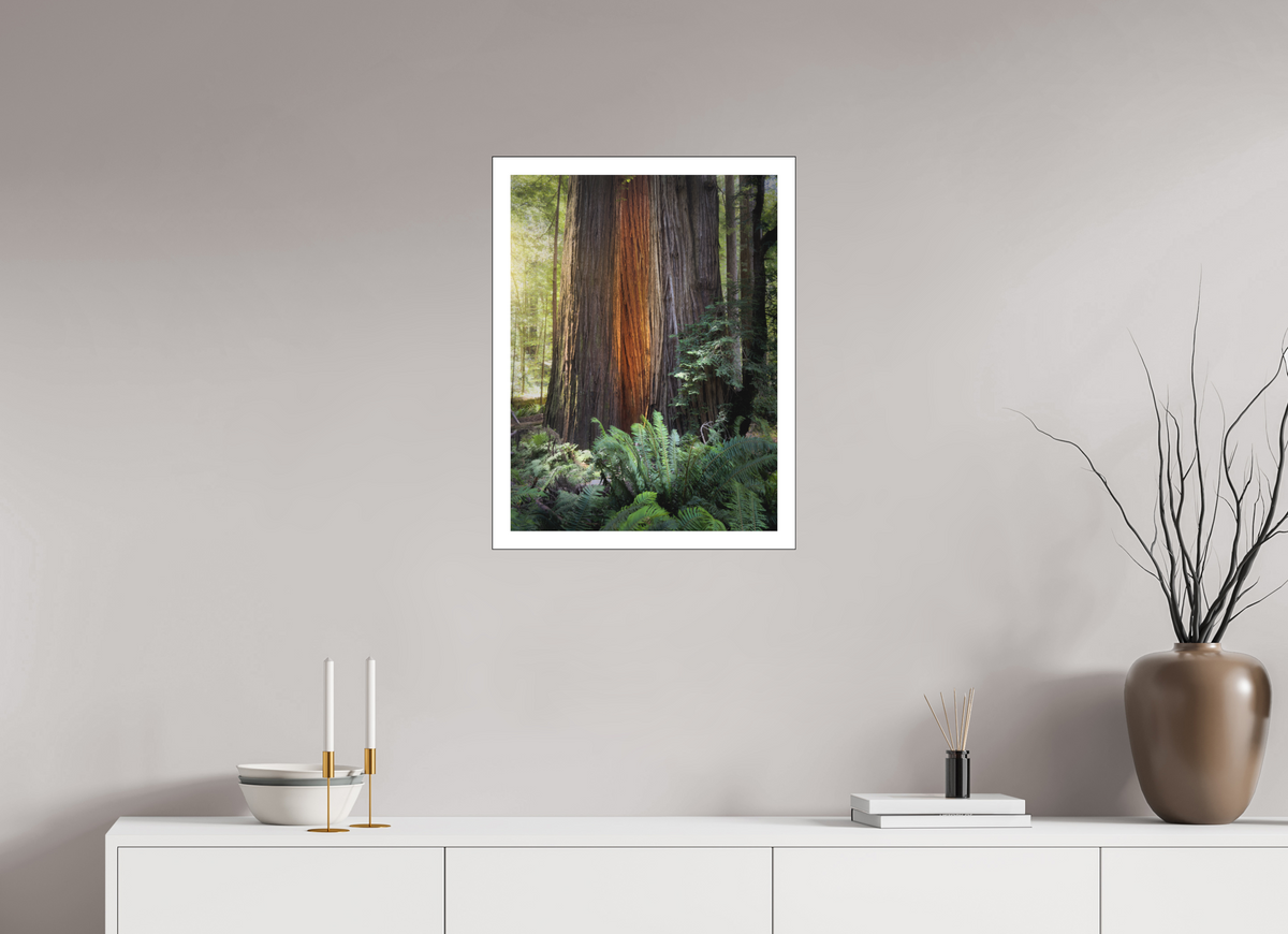 18 x 24″, Bonded Acrylic Mat + Black Frame Glow in the Tall Trees Grove
