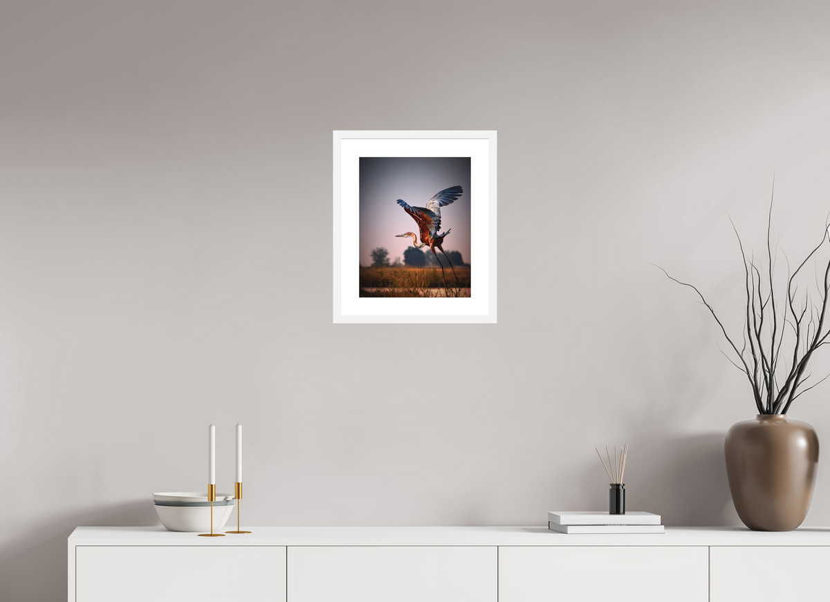 12 x 15″, Passe-Partout White Frame Goliath Heron Takes Flight on the Chobe River