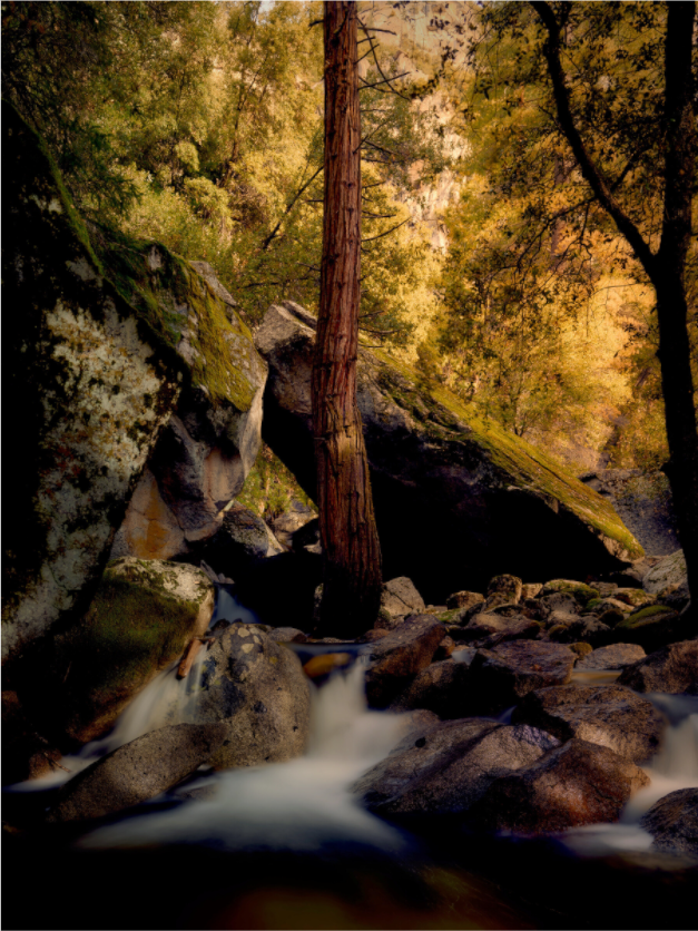 Yosemite's Cascade Creek at Sunrise