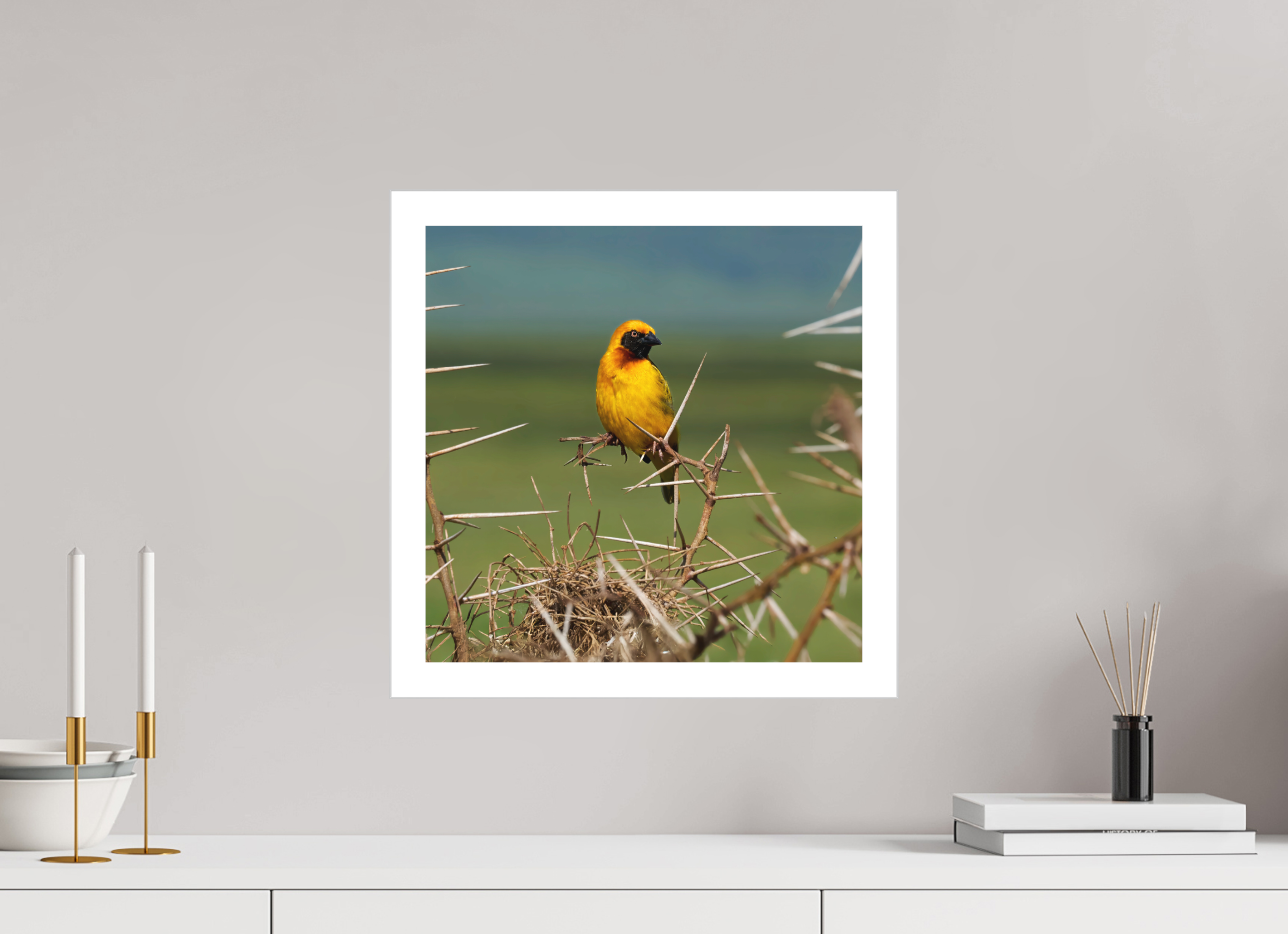 15 x 15″, Fine Art Bonded Acrylic Afrcan Golden Weaver
