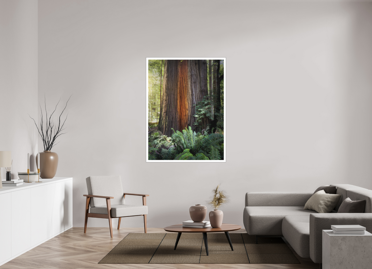 42 x 56″, Bonded Acrylic Mat + Black Frame Glow in the Tall Trees Grove