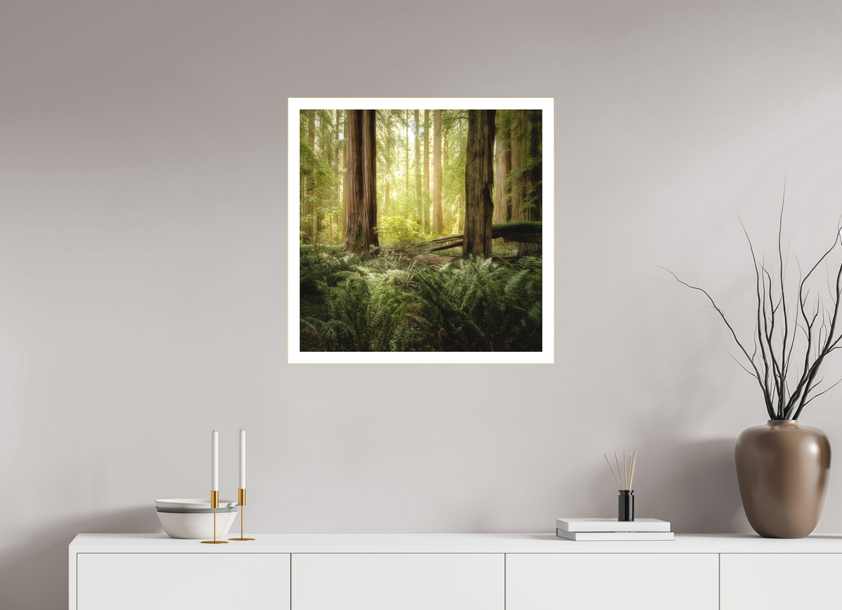 25 x 25″, Bonded Acrylic Mat + Gold Frame Lux Armarium: Stout Grove