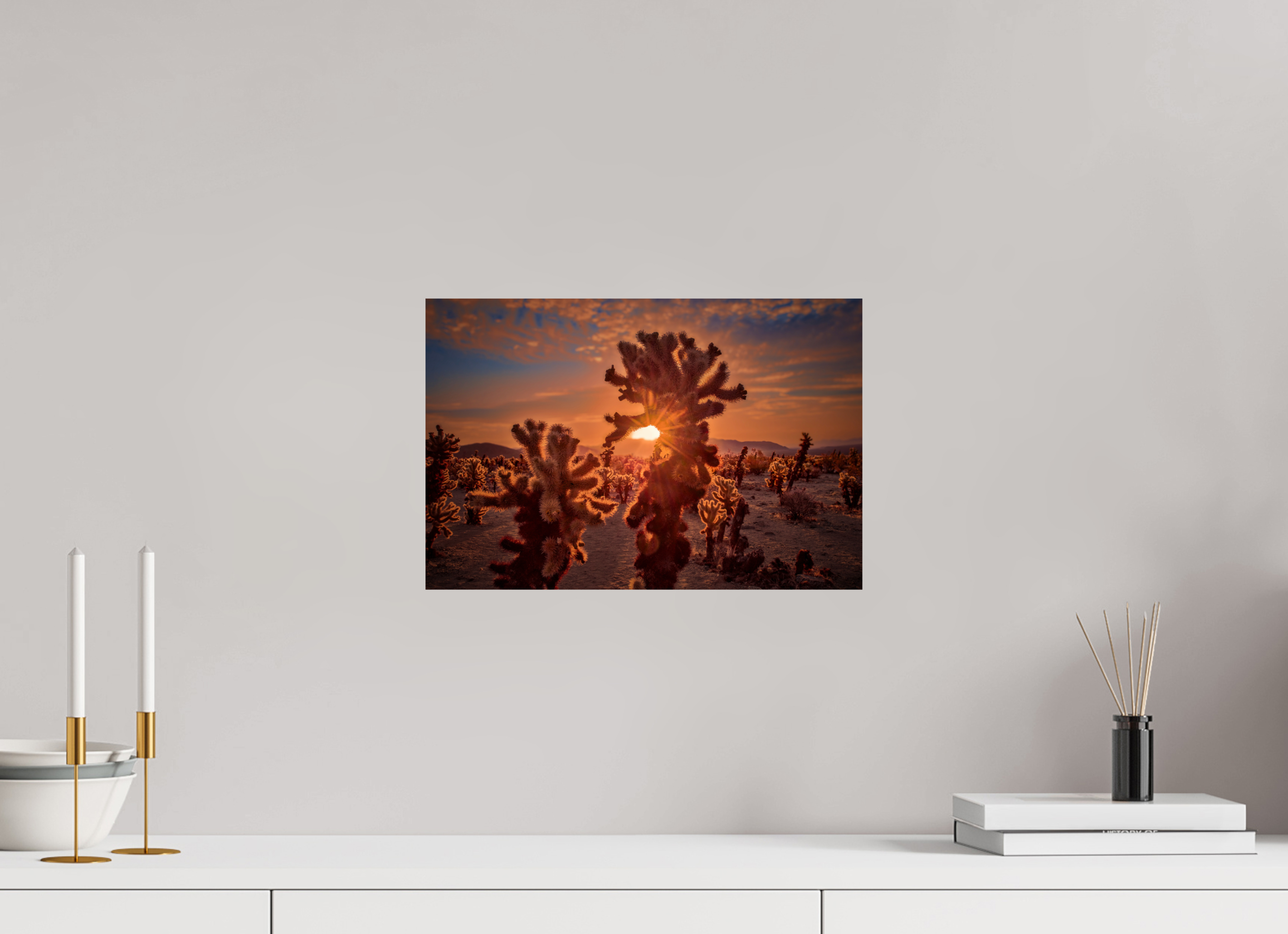 15 x 10″, Giclée Alu-Dibond Joshua Tree's Chollah Cactus