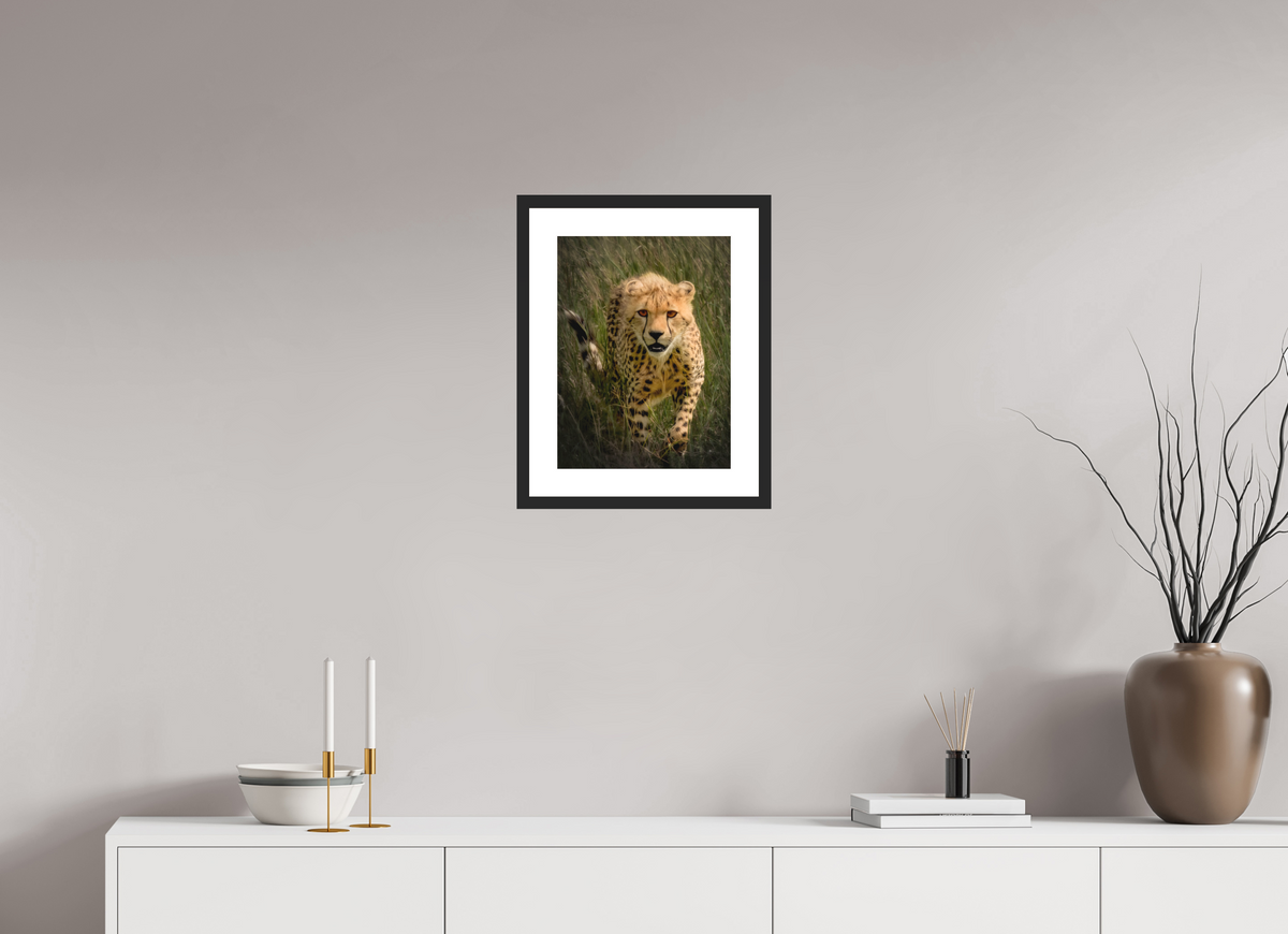 12 x 16″, Passe-Partout Black Frame Stalking Cheetah