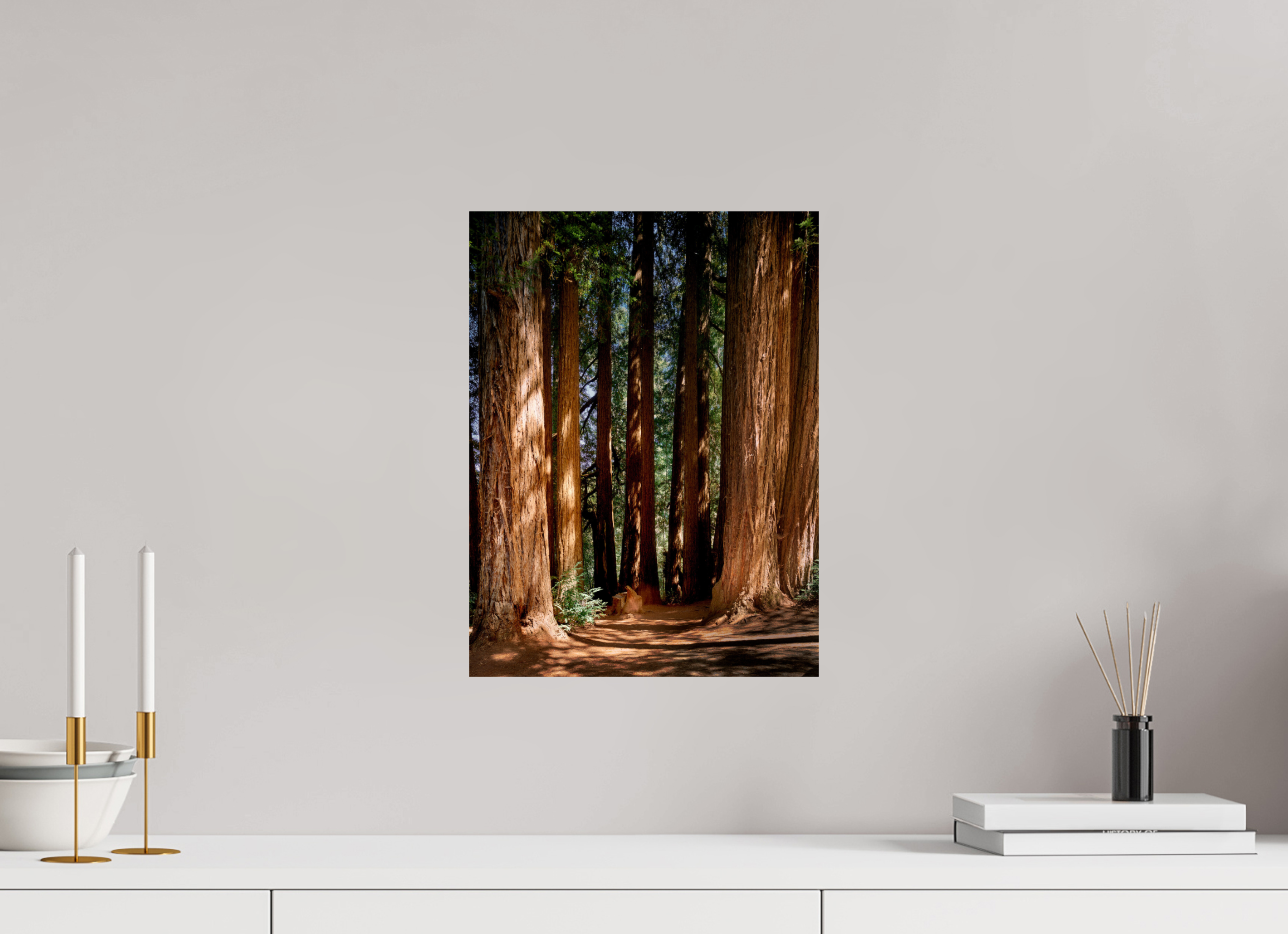 12 x 16″, Giclée Alu-Dibond Felton Redwoods Cathedral Grove