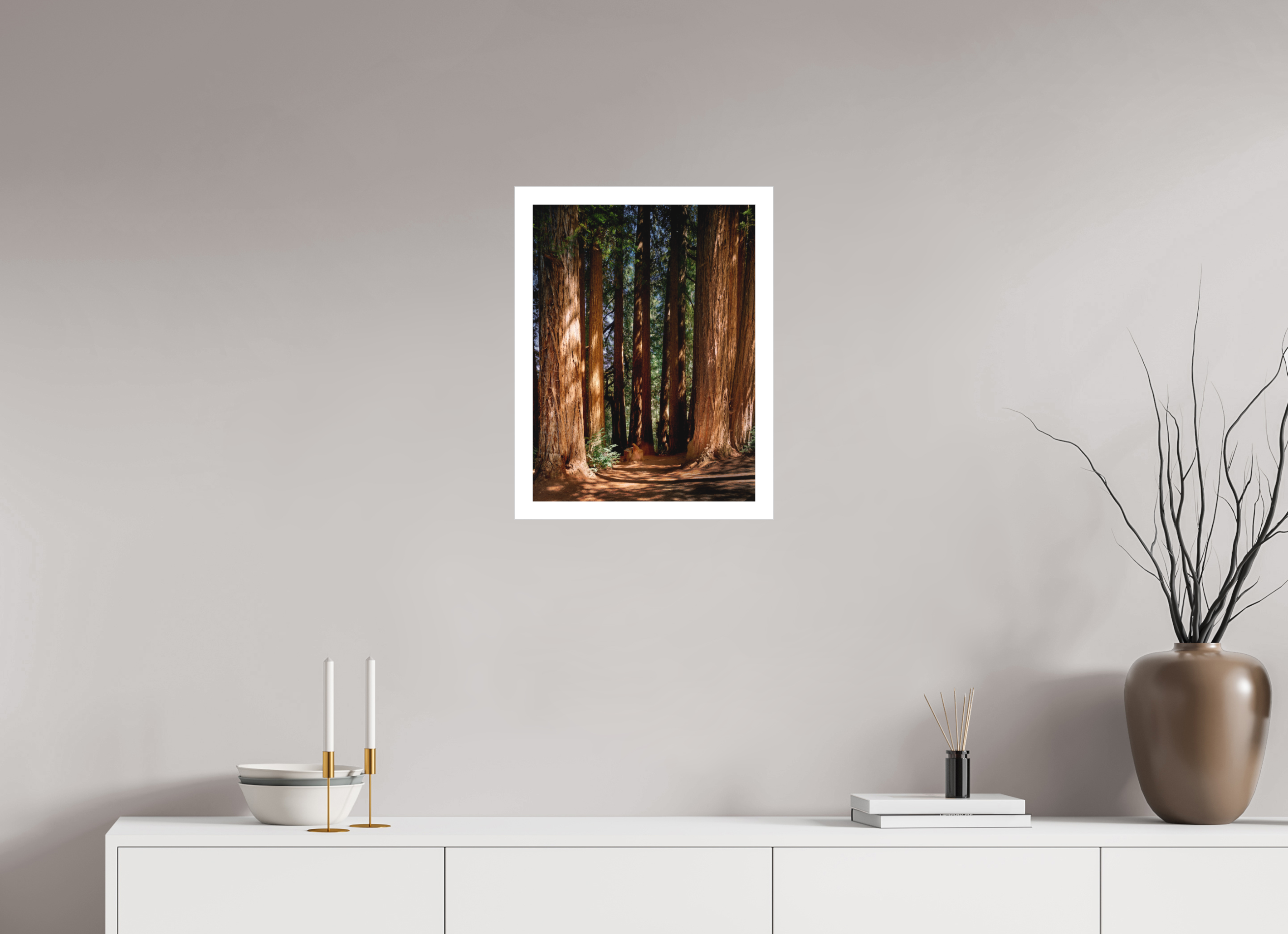 15 x 20″, Fine Art Bonded Acrylic Felton Redwoods Cathedral Grove