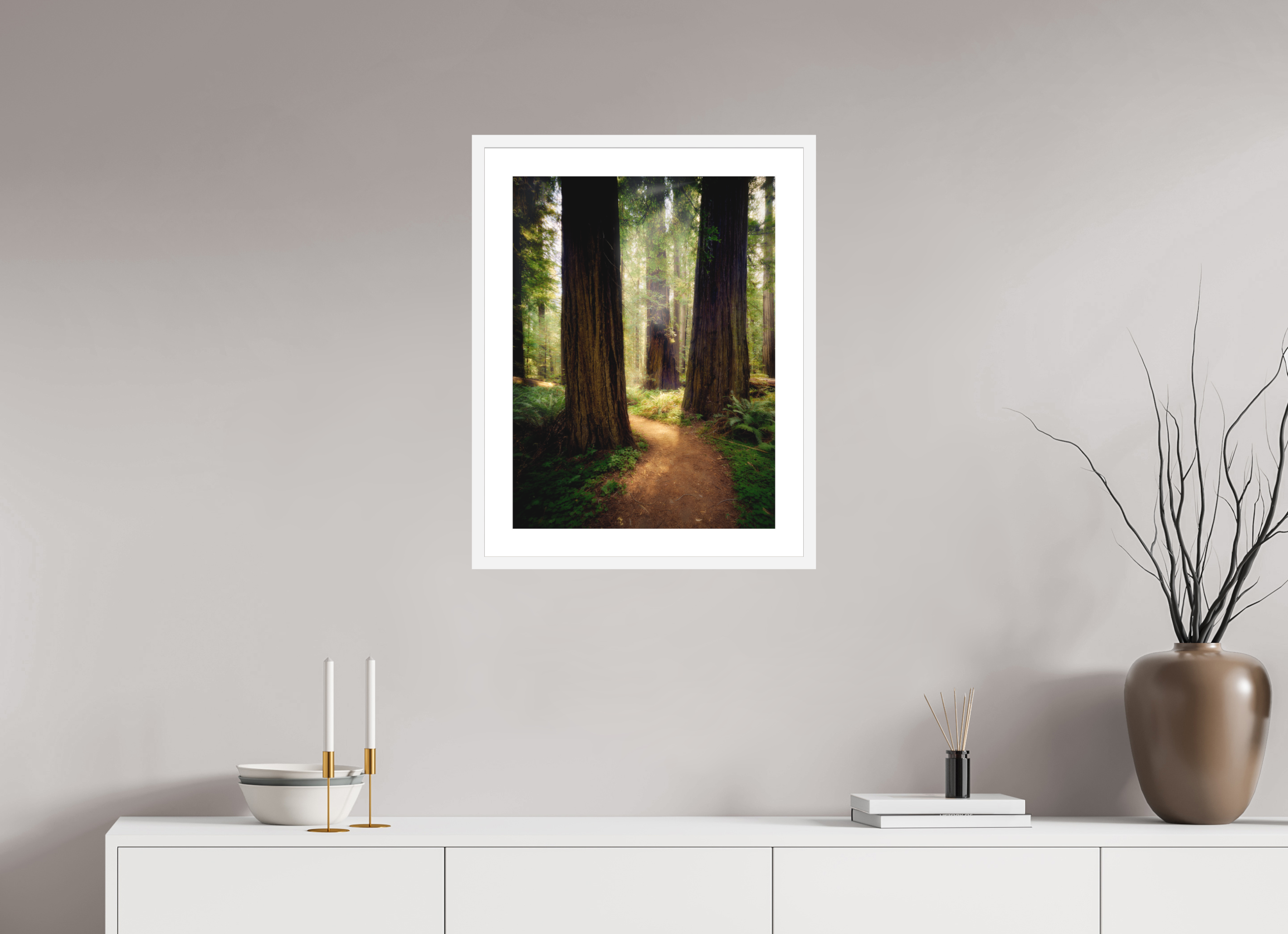 18 x 24″, Passe-Partout White Frame A Path Through The Redwoods