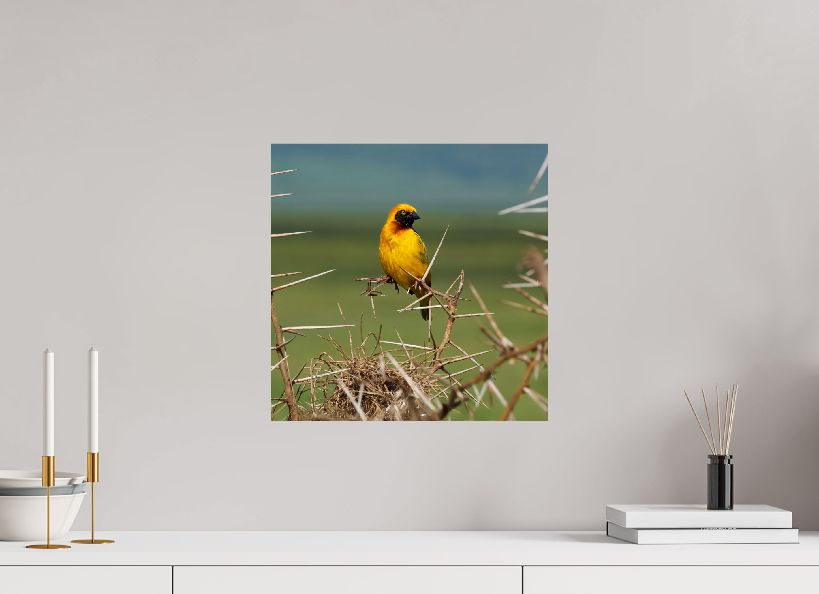 15 x 15″, Giclée Alu-Dibond Afrcan Golden Weaver