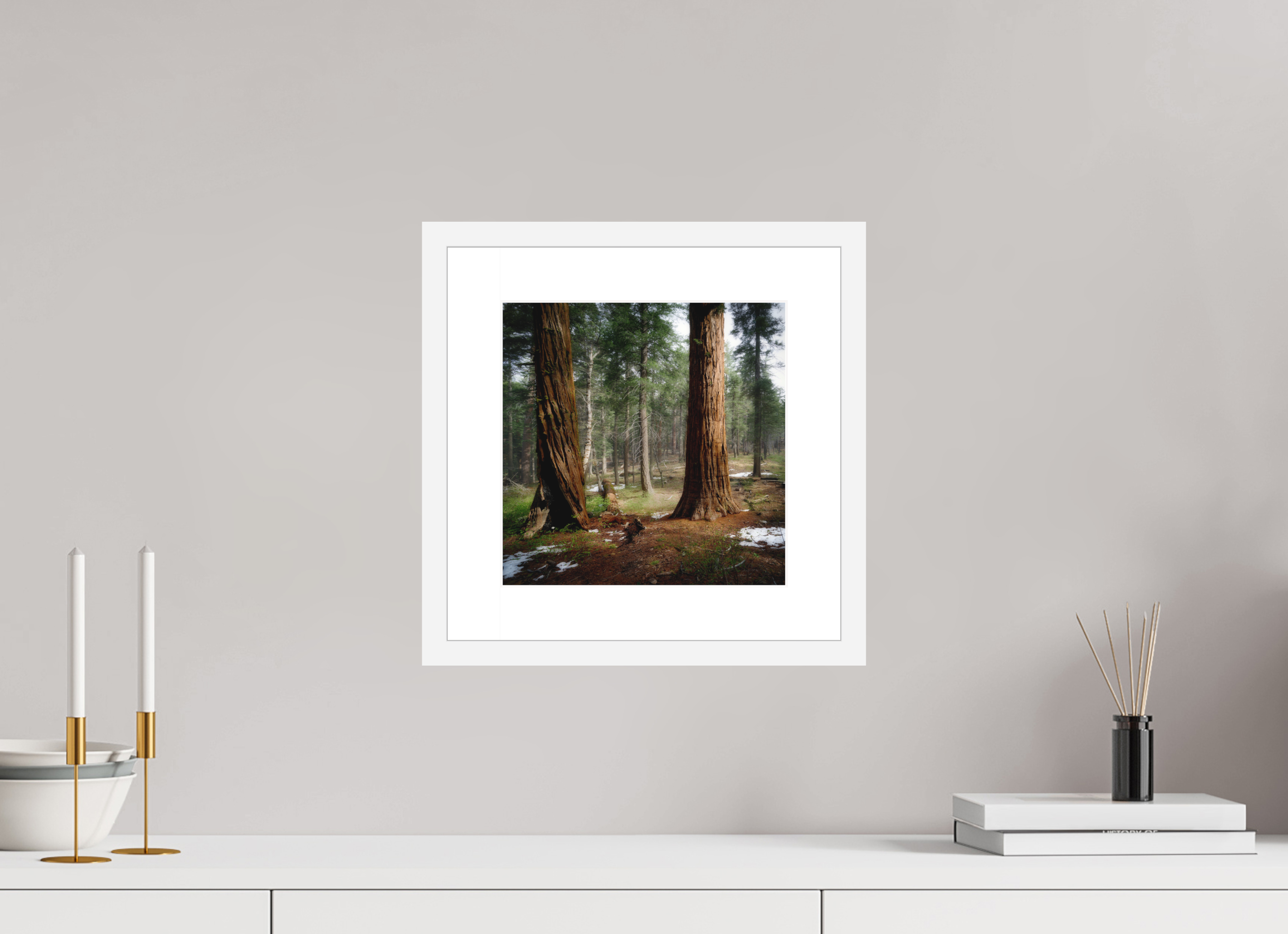 10 x 10″, Passe-Partout White Frame Northern Sentinels II: The Placer County Sequoias