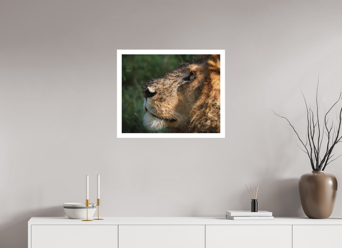 25 x 20″, Fine Art Bonded Acrylic The King of Most Beasts