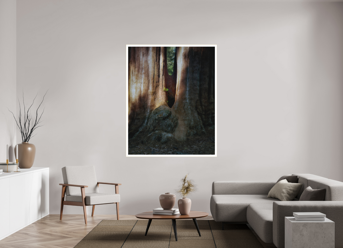 51 x 63.7″, Bonded Acrylic Mat + Gold Frame Semper iuvenis