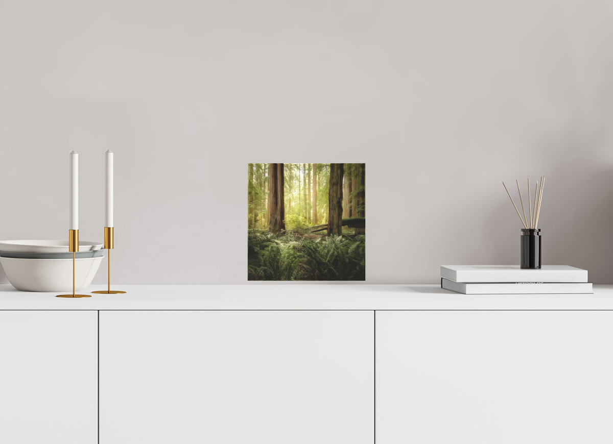 8 x 8″, Acrylic Block Gift Set Lux Armarium: Stout Grove