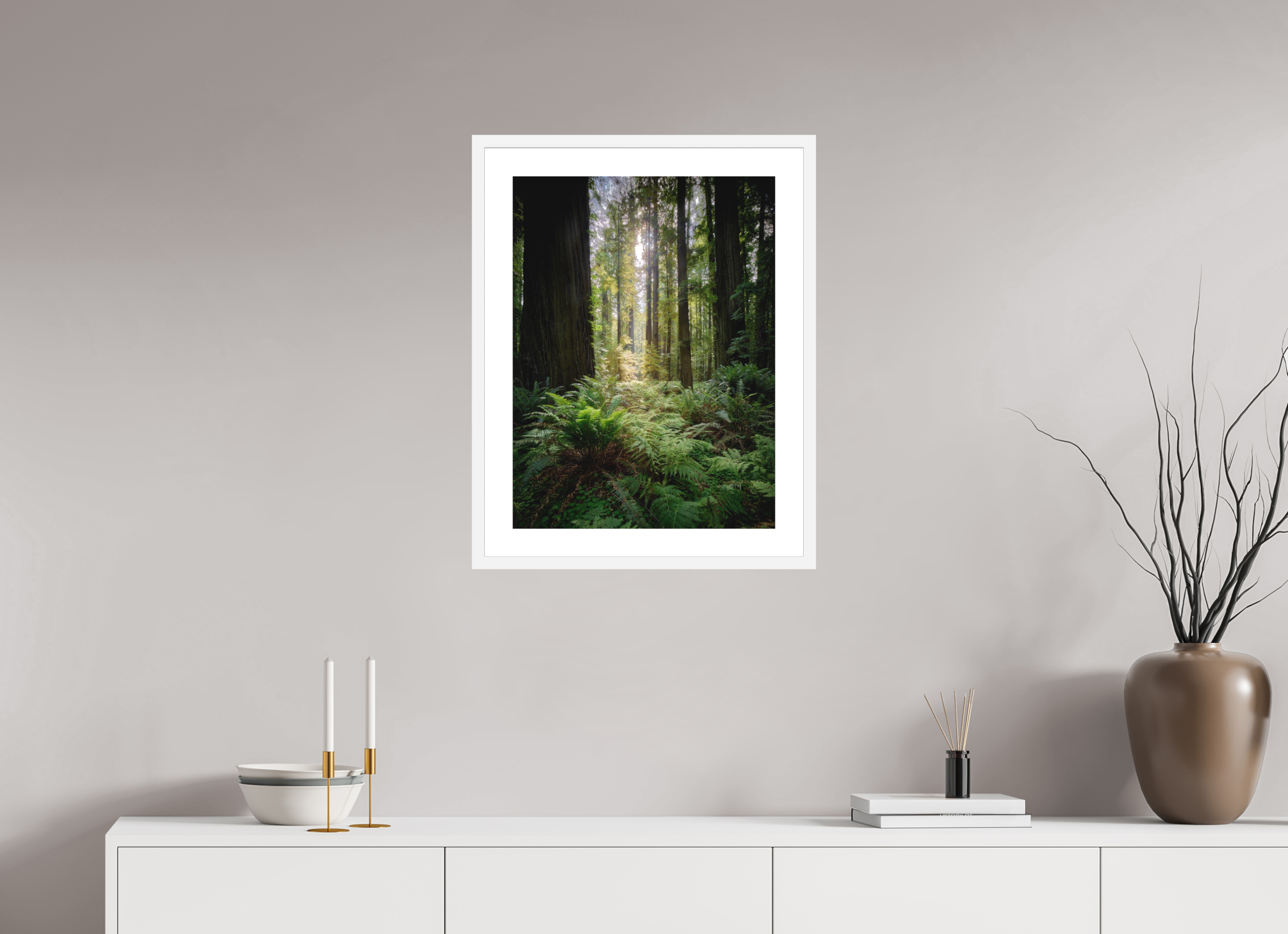 18 x 24″, Passe-Partout White Frame Forest Light on Redwoods & Sword Ferns
