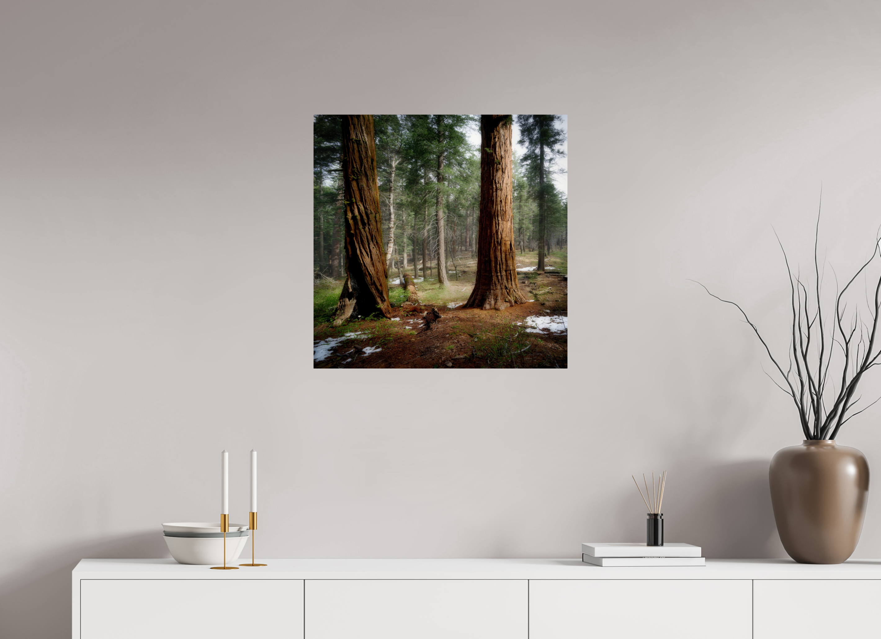 25 x 25″, Giclée Alu-Dibond Northern Sentinels II: The Placer County Sequoias