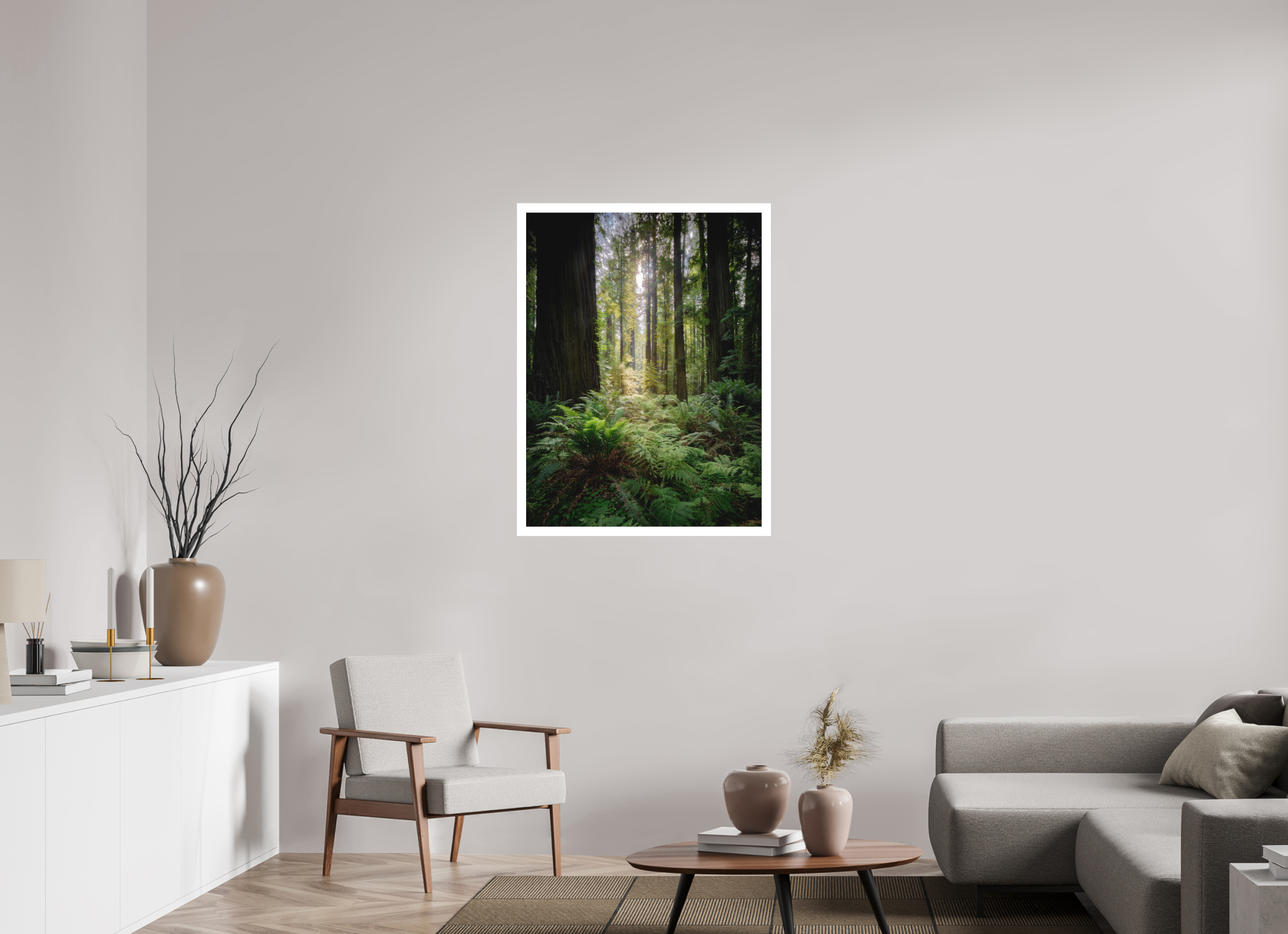 30 x 40″, Fine Art Bonded Acrylic Forest Light on Redwoods & Sword Ferns
